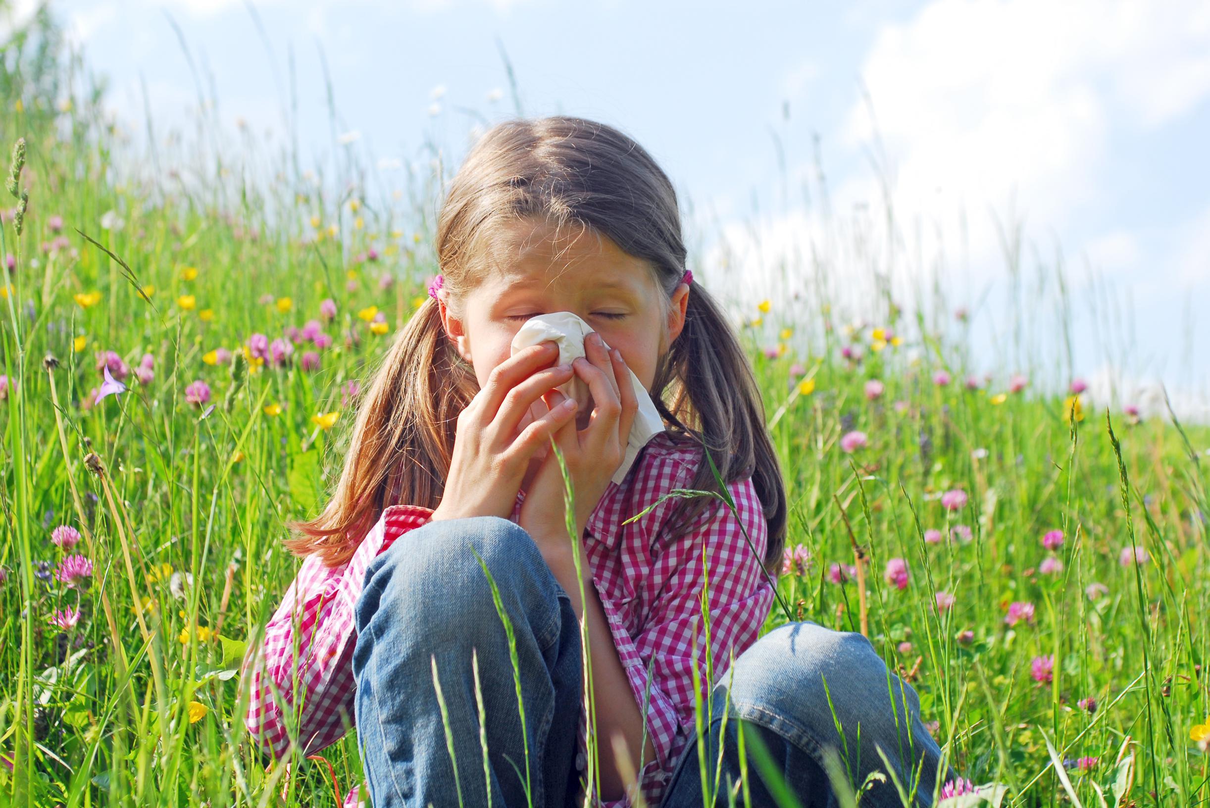 AEG AB61H6SW 6000 Allergy: de ideale stofzuiger voor allergielijders - Chazia Mourali