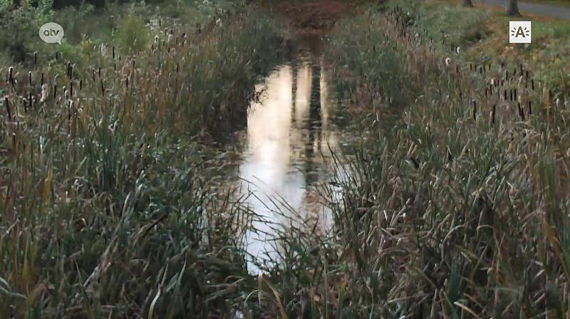 Proza-k op Van de schoonheid en de troost | GVA