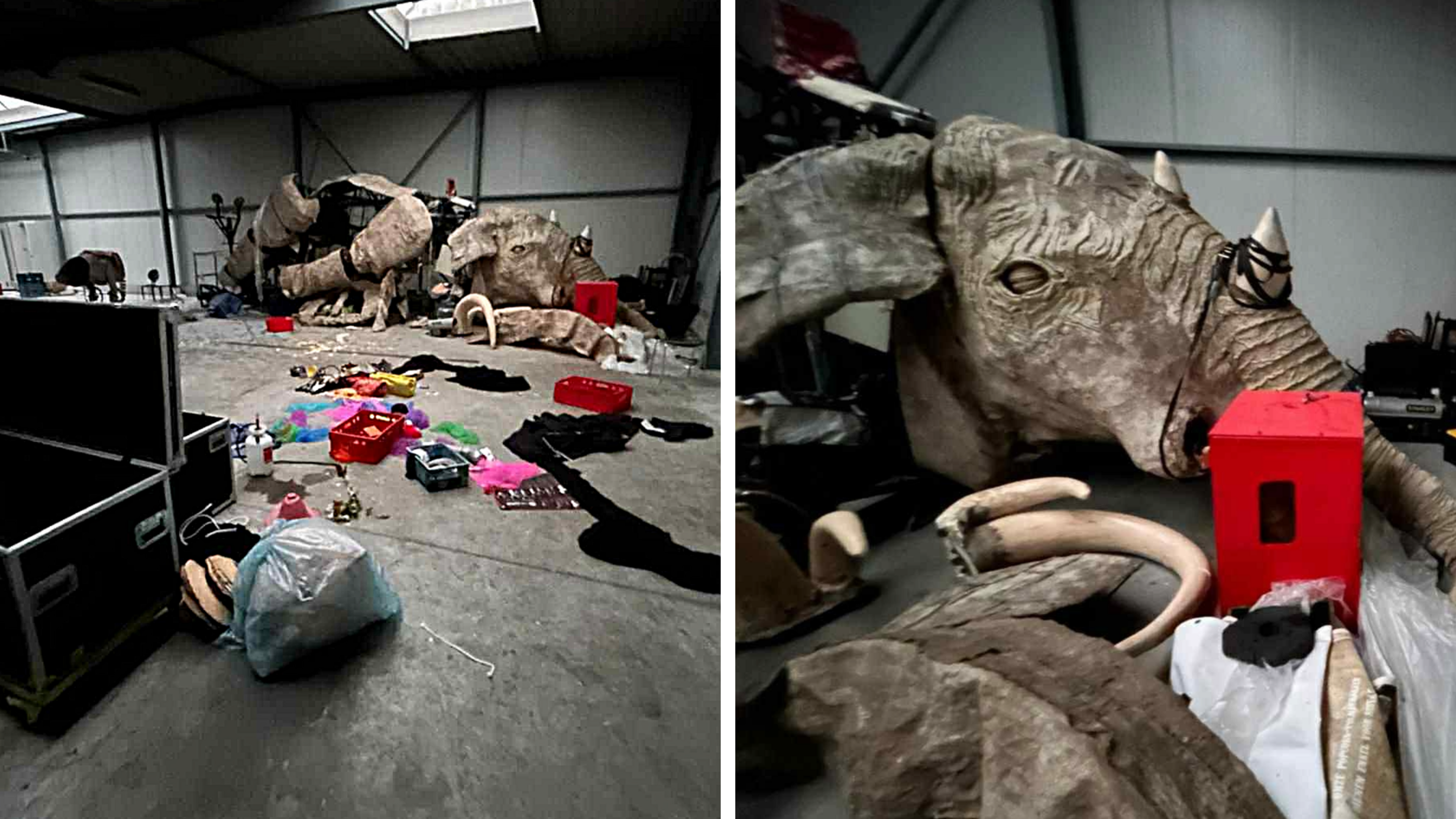 Vandalen houden lelijk huis in magazijn van Kaaimannen in Schelle: “Onze olifant Rani en varken Oink