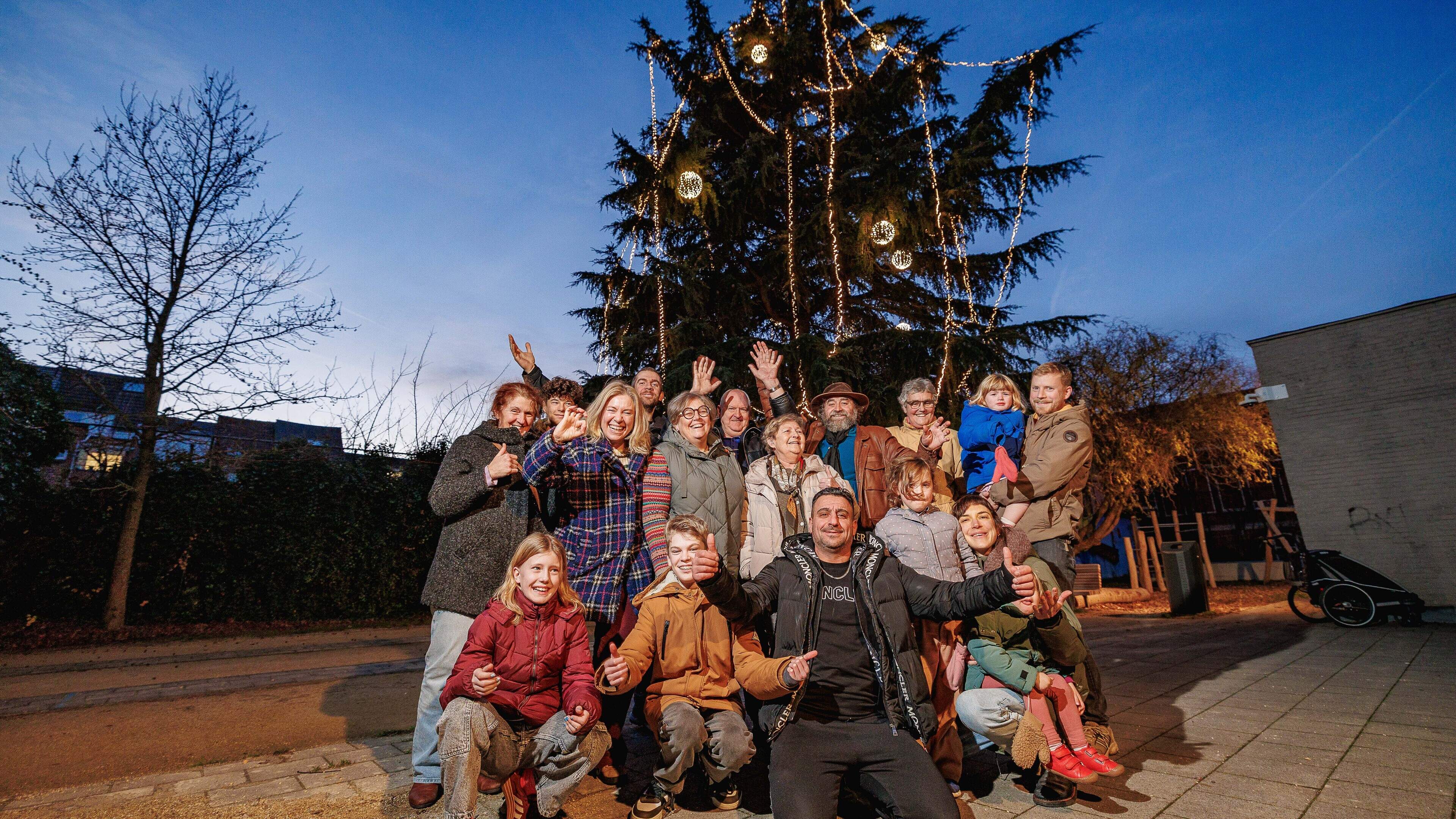 Bewoners Mechelse wijk gaan prat op hoogste, levende kerstboom van België: “Er hangen 26.000 ledlich