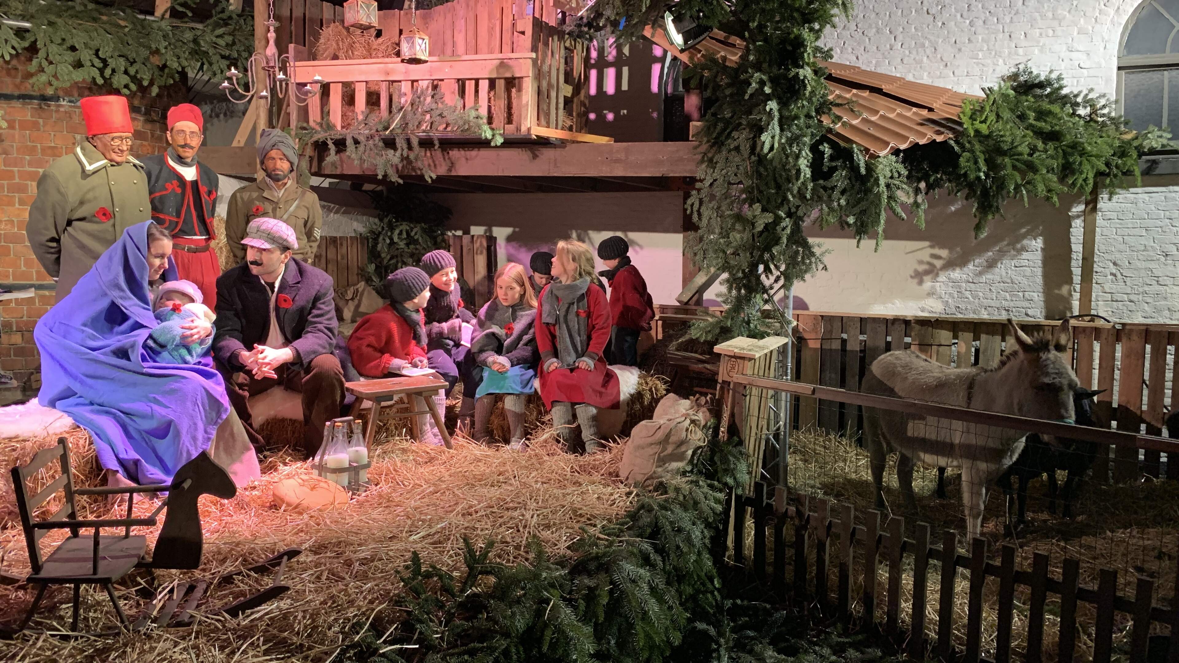 Levende kerststal brengt winterse gezelligheid in Mechels Groot Begijnhof: “We willen de warmte dele