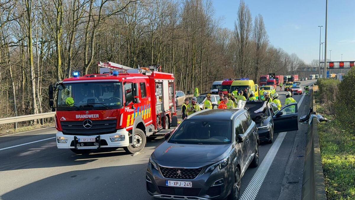 E313 richting Antwerpen weer vrij na ongeval in Wommelgem | GVA
