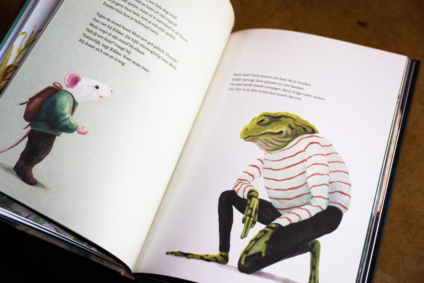Enkele illustraties in het boek.