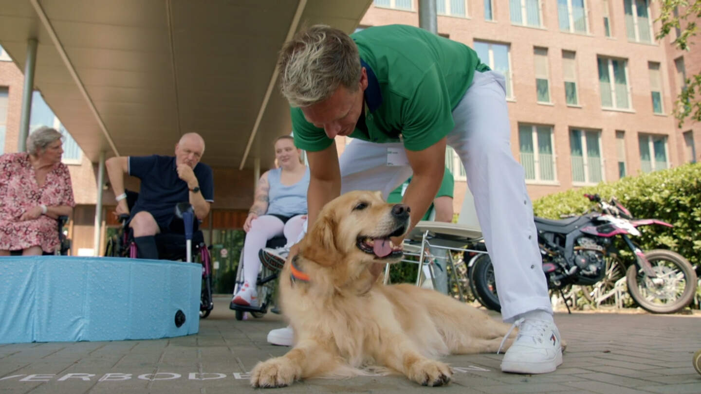 Hond Prosper, die geregeld op bezoek komt bij RevArte, is ook in de uitzending te zien.