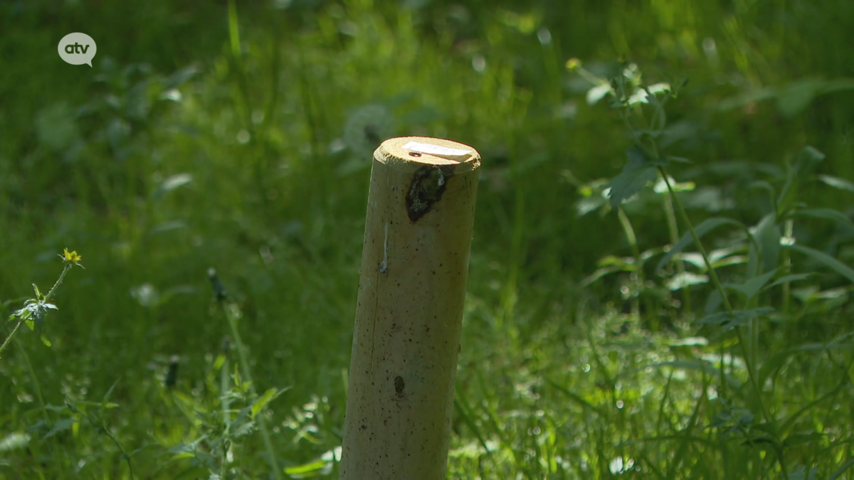 ‘Paaltjesstrijd’ tussen gemeente Schoten en bewoners villawijk: “De ...
