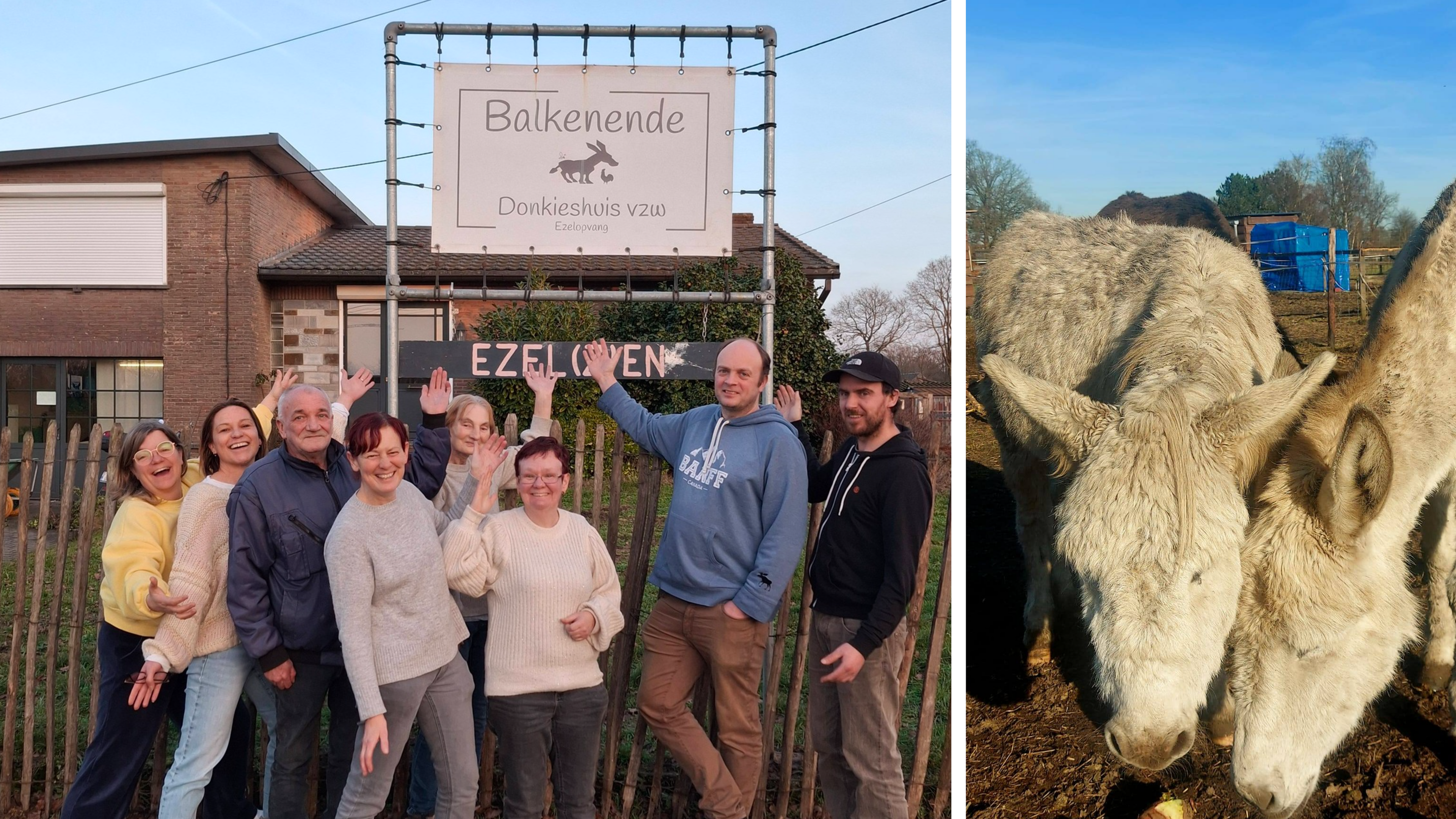 Balkenende Donkieshuis vindt nieuwe stek: “Ongelofelijke kans om ezelasiel verder te zetten”