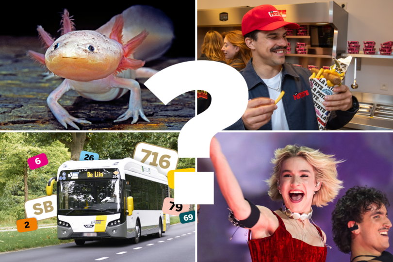 QUIZ. Waarom blijven minstens acht Aldi-winkels vandaag dicht? Doe de ...