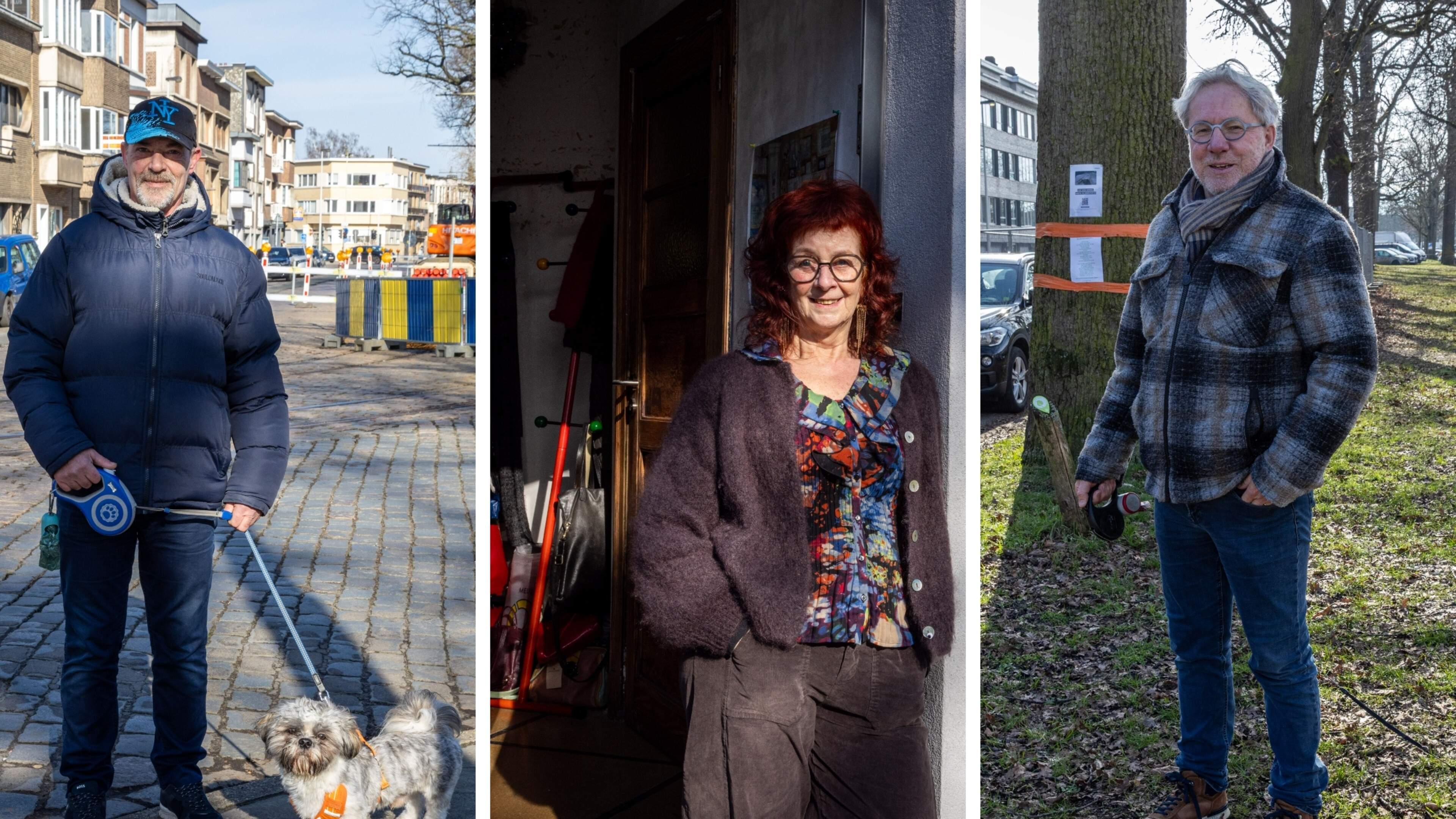 Deurne-Zuid halfjaar na omstreden bomenkap: “Het vertrouwen is hier nog altijd zoek”