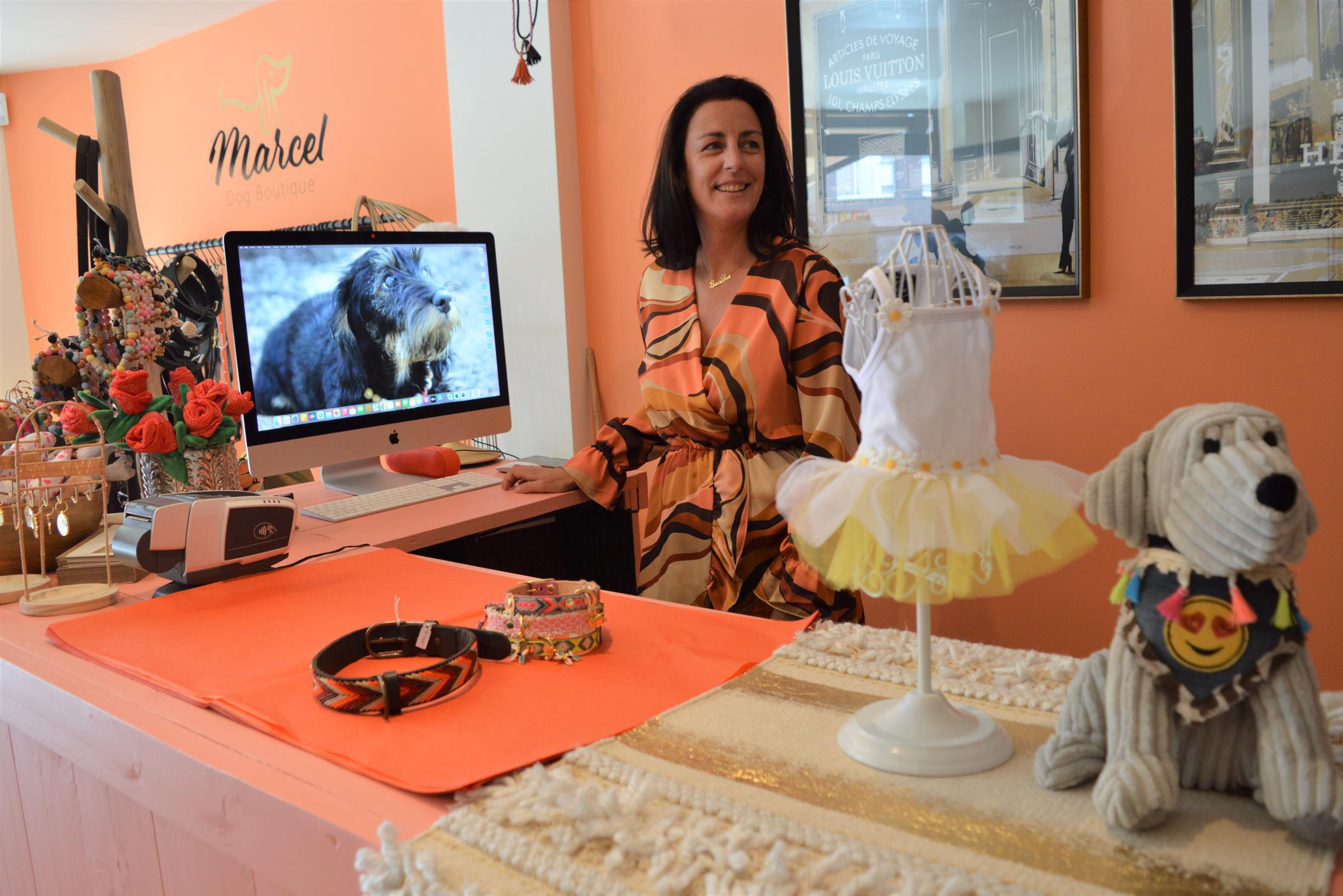 Miniwoef of stoere bulldog? Marcel Dog Boutique wil het verschil maken