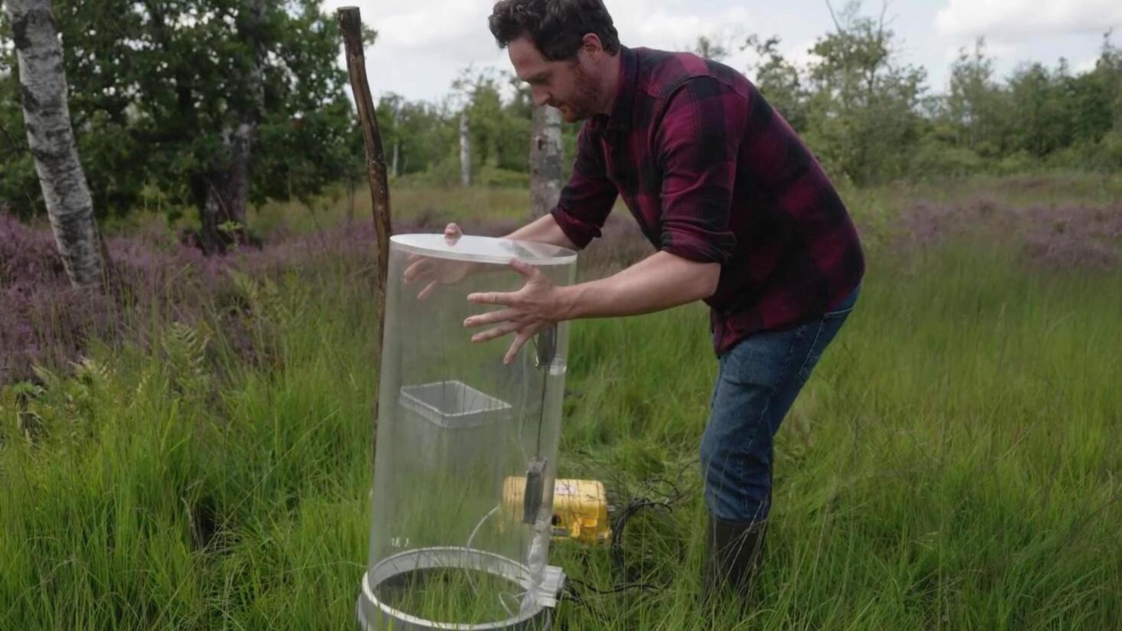 Equivalent aan koolstof van 100.000 auto’s zit opgeslagen in Kempens veengebied: Antwerpse Zoo meet 
