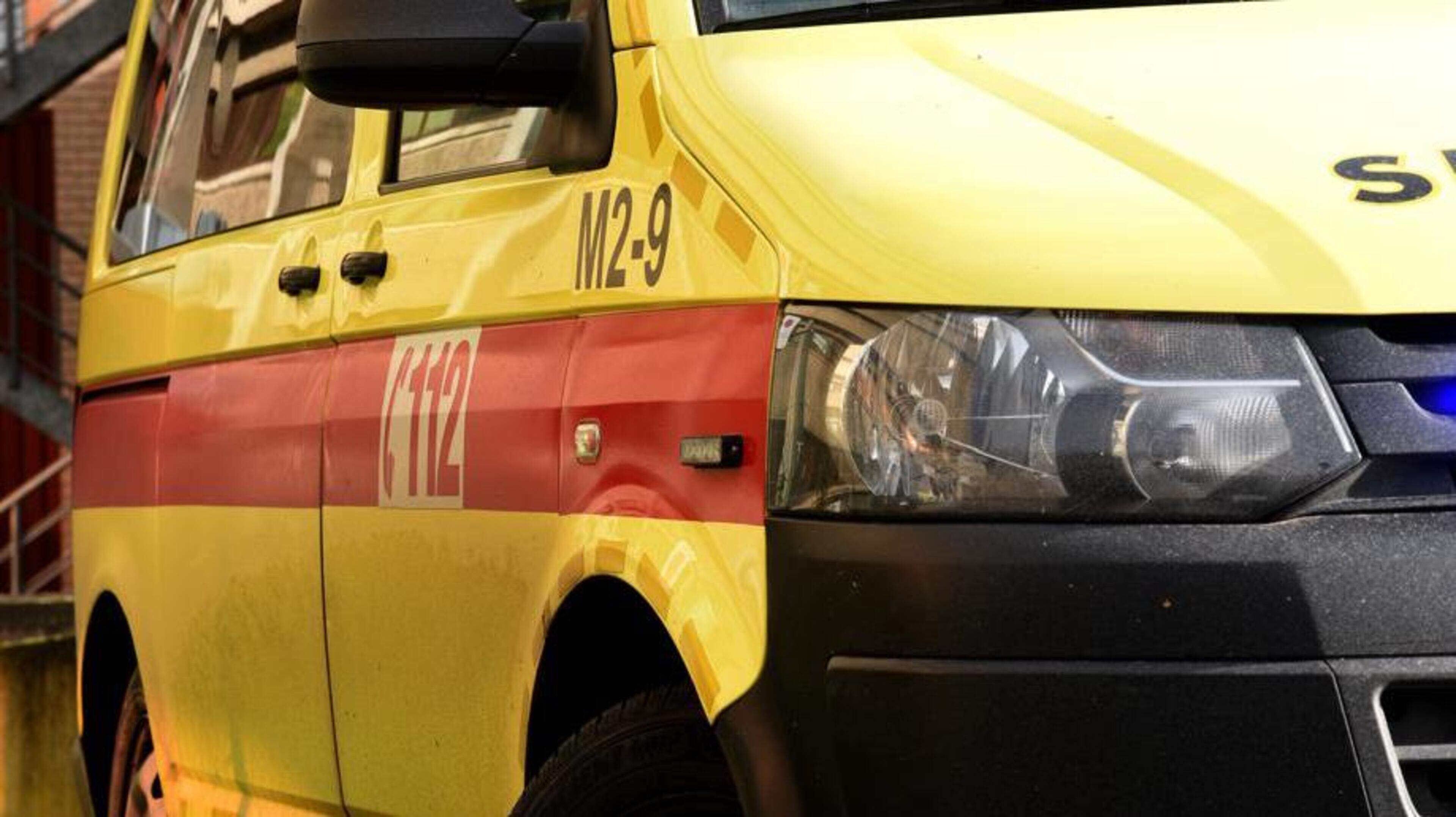 Automobilist gewond en hert doodgereden in Peer