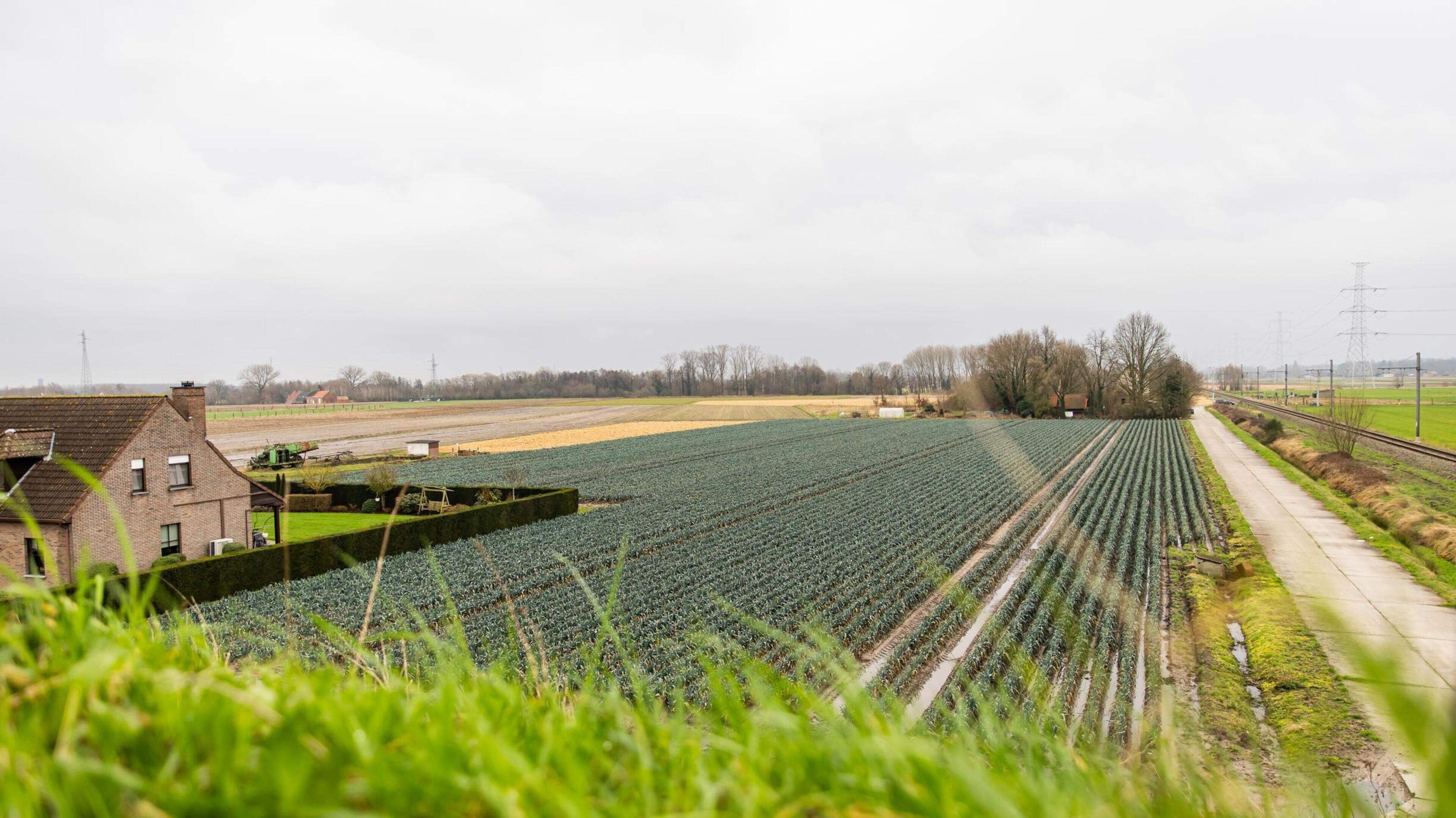 Stad en landbouwers onderzoeken maatregelen voor meer waterzekerheid: “Want we zijn erg kwetsbaar”