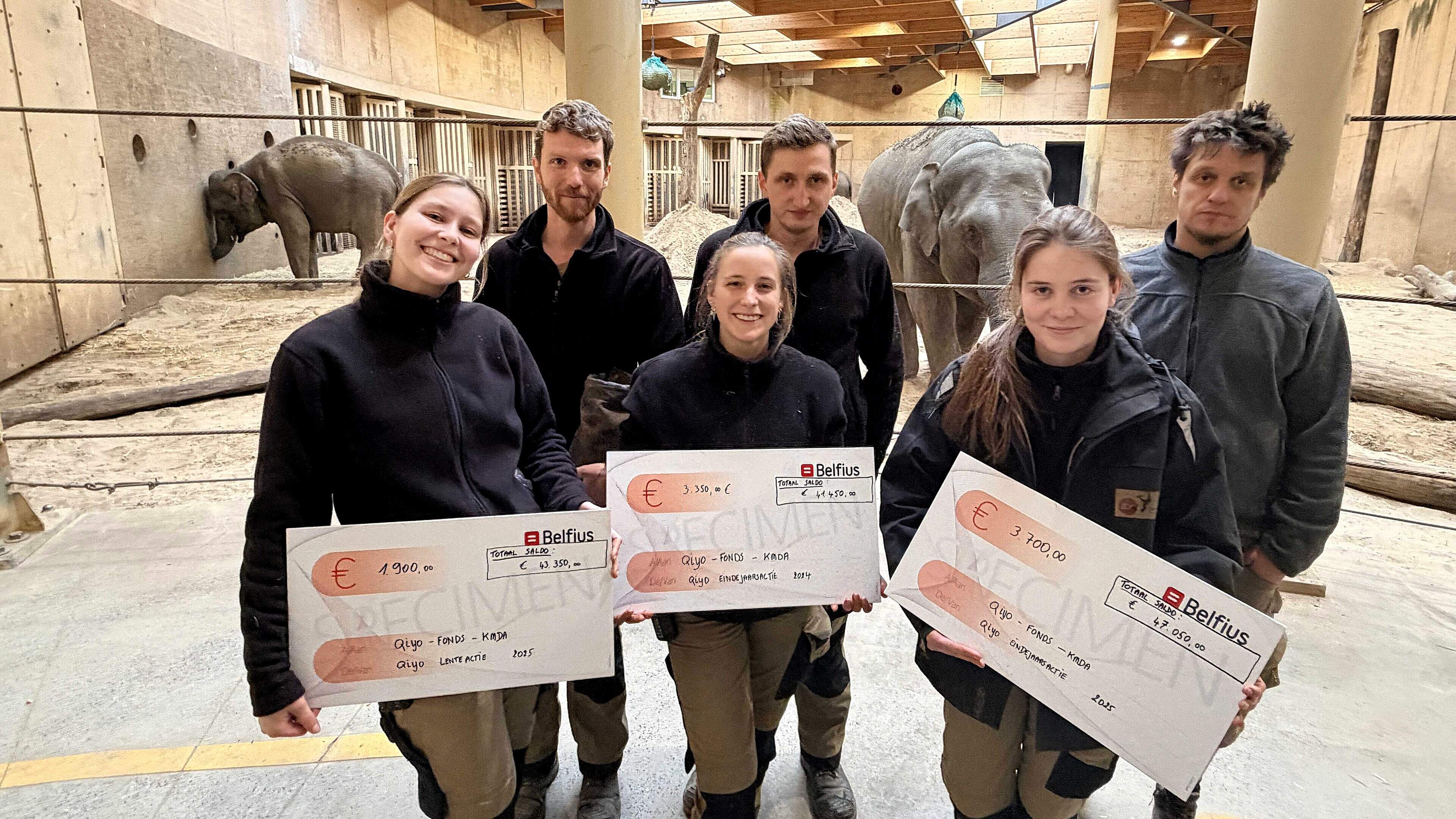 Olifantenfan Kris Lamon zamelde al 47.000 euro in voor strijd tegen olifantenherpes: “Er zijn grote 