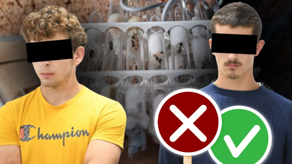 QUIZ. Hoe goed ben jij op de hoogte van het nieuws? | GVA