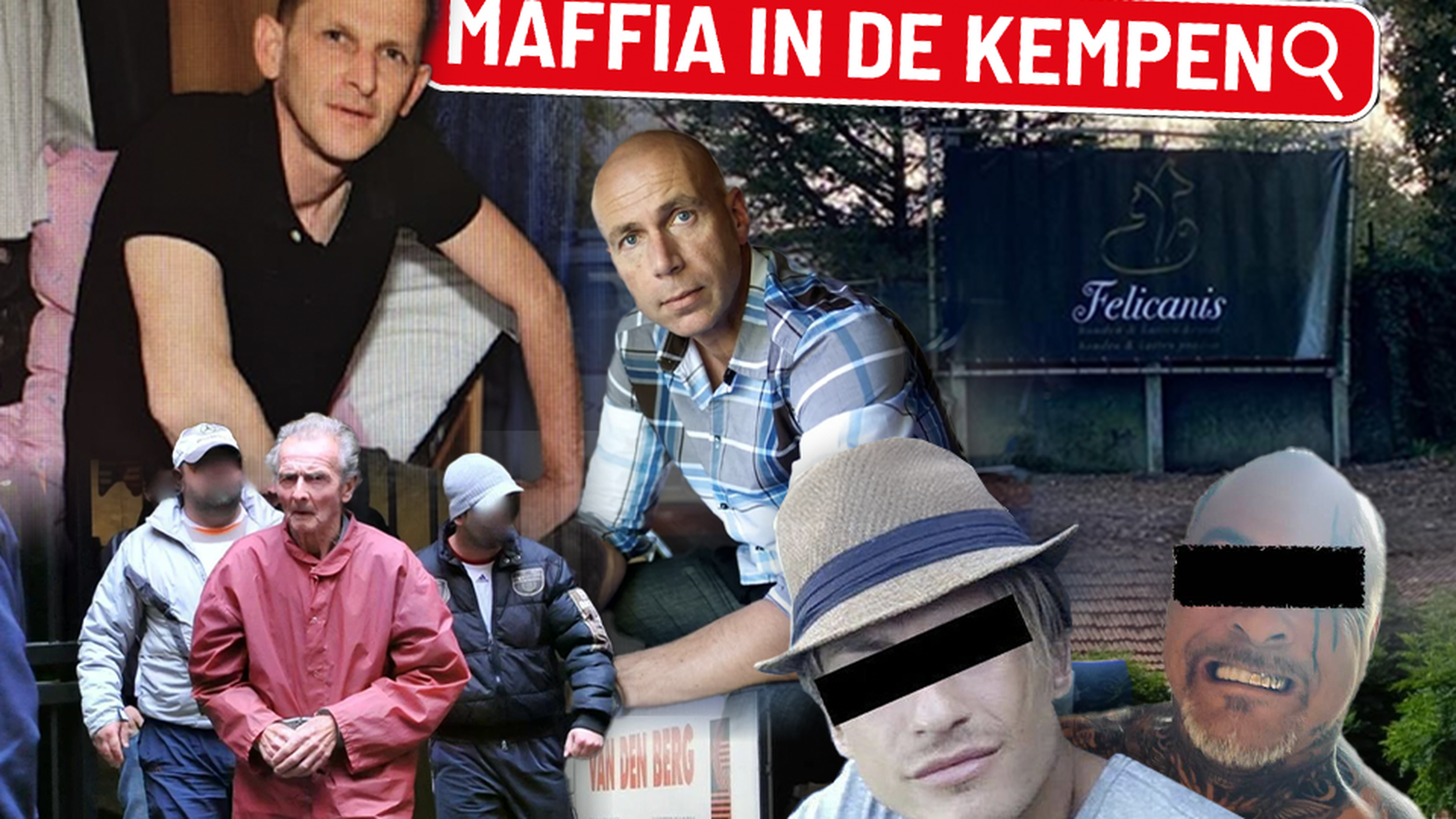 Het Beestenkartel: criminelen achter drugslabo’s handelen ook in puppy’s, alleen in de Kempen