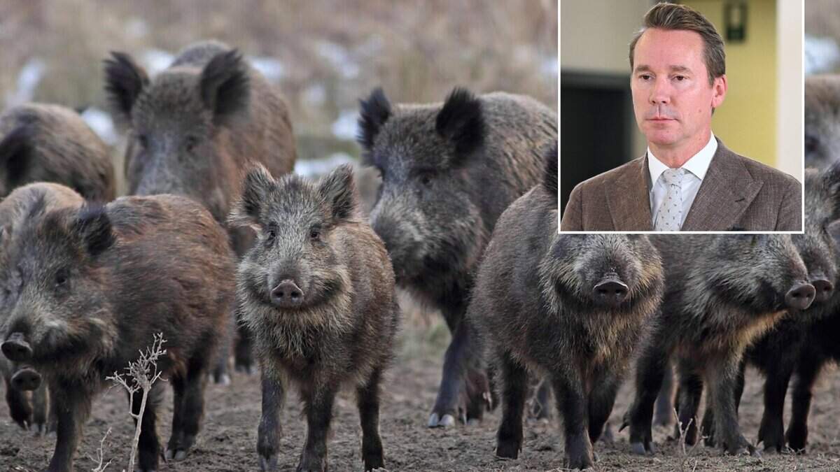 Minister Jo Brouns laat gastjagers en jachthonden toe