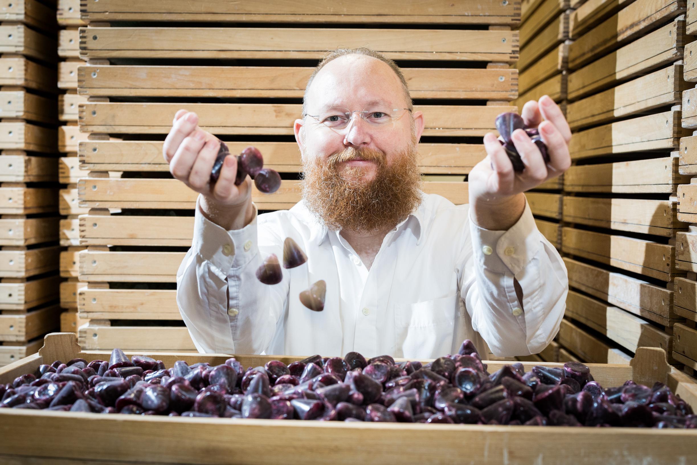 De grootste Gentse Cuberdonfabriek komt in Brusselse handen: “Die  Neuzekesoorlog was de beste reclame voor ons” | GVA
