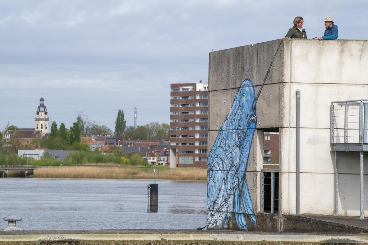 De Drieverenwandeling tussen Hemiksem, Schelle en Rupelmonde: de natuur ...