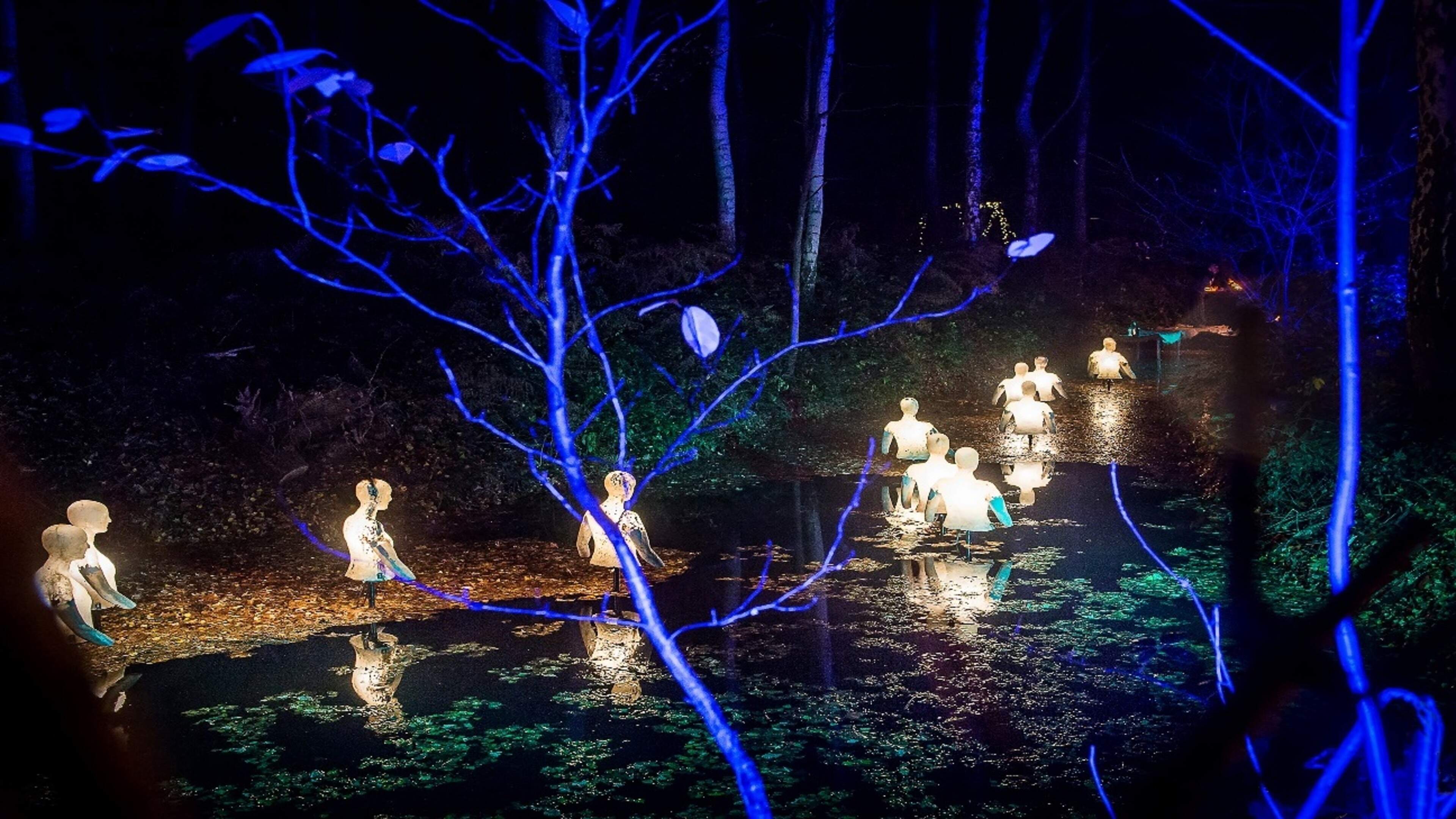 Vurige Winteravond tovert Vrijbroekpark om tot feeërieke fantasiewereld: “De hotelruïne is een blikv