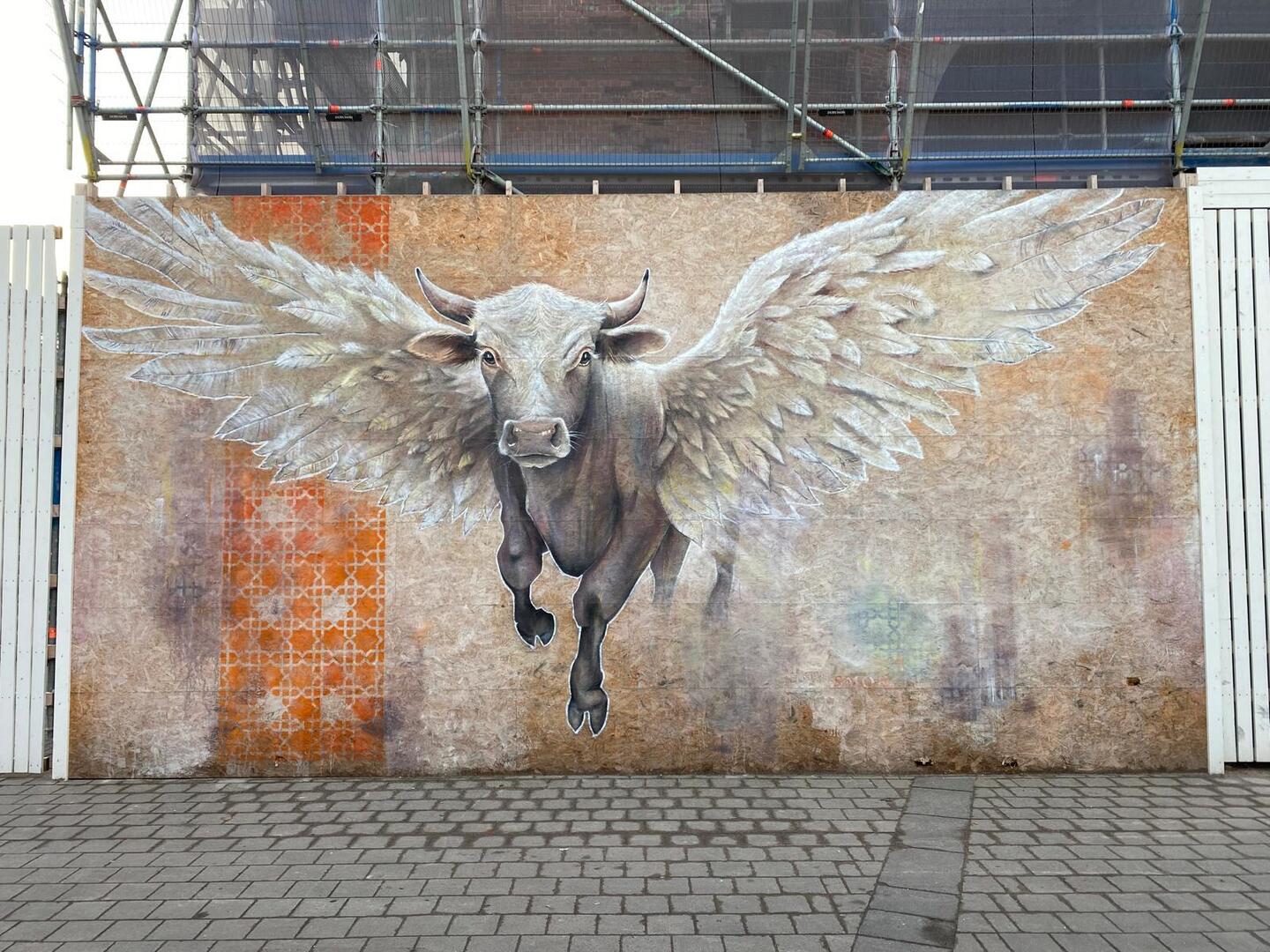 Een stier op de schutting aan de Peperbus in Borgerhout.
