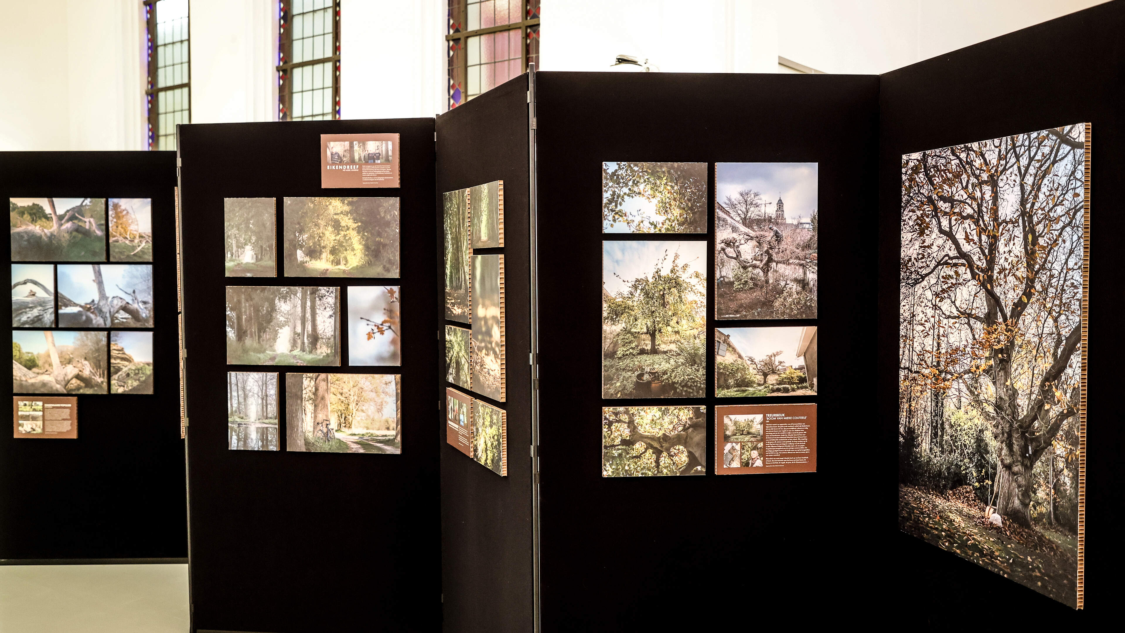 Expo Houtig Erfgoed strijkt neer in De Moer: met unieke foto’s van Vosselaarse eikenhakhoutstoven