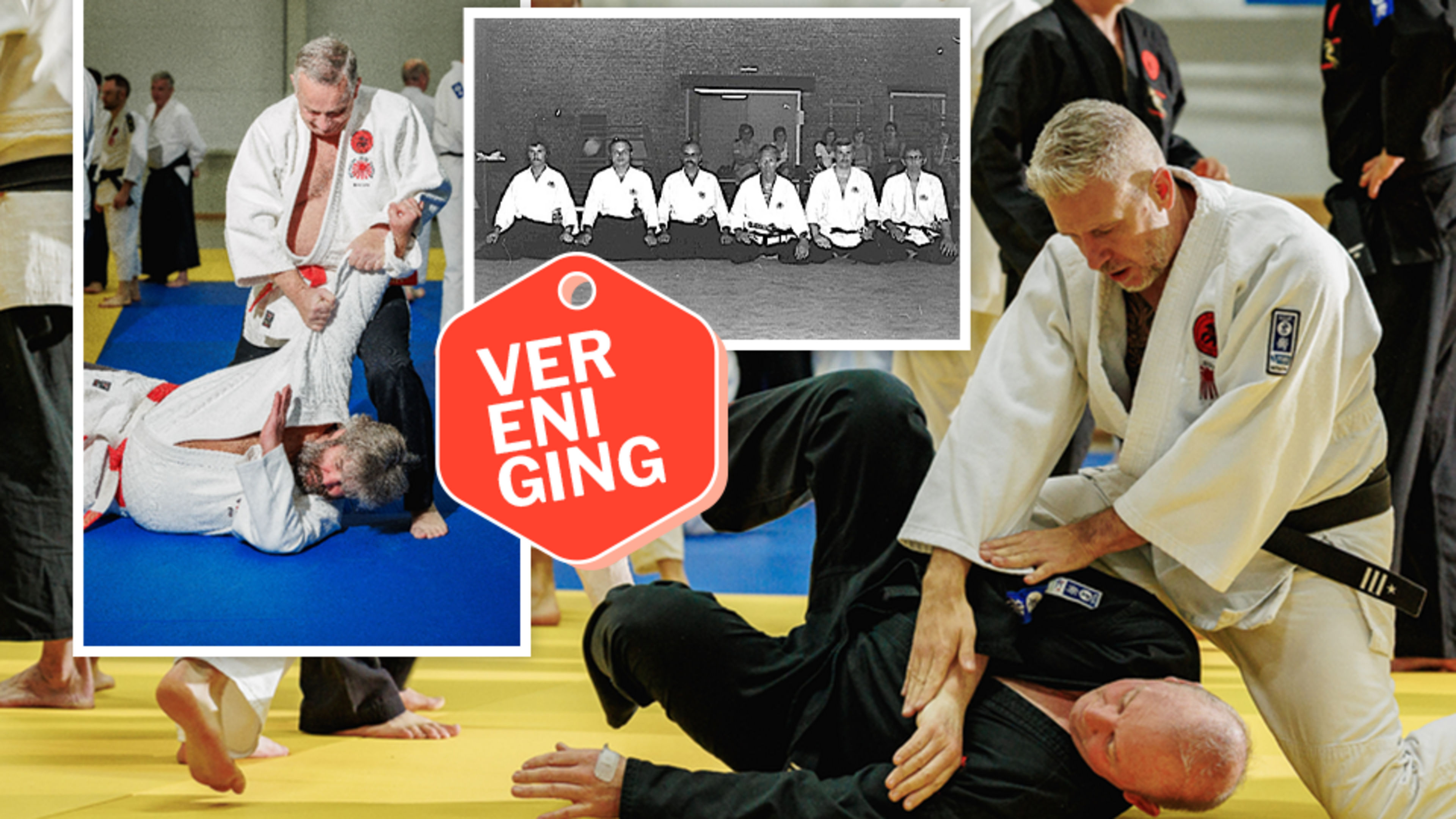 Vijftig jaar Mechelse Budo Sporten: “Je moet geen kolos zijn om jiujitsu onder de knie te krijgen”