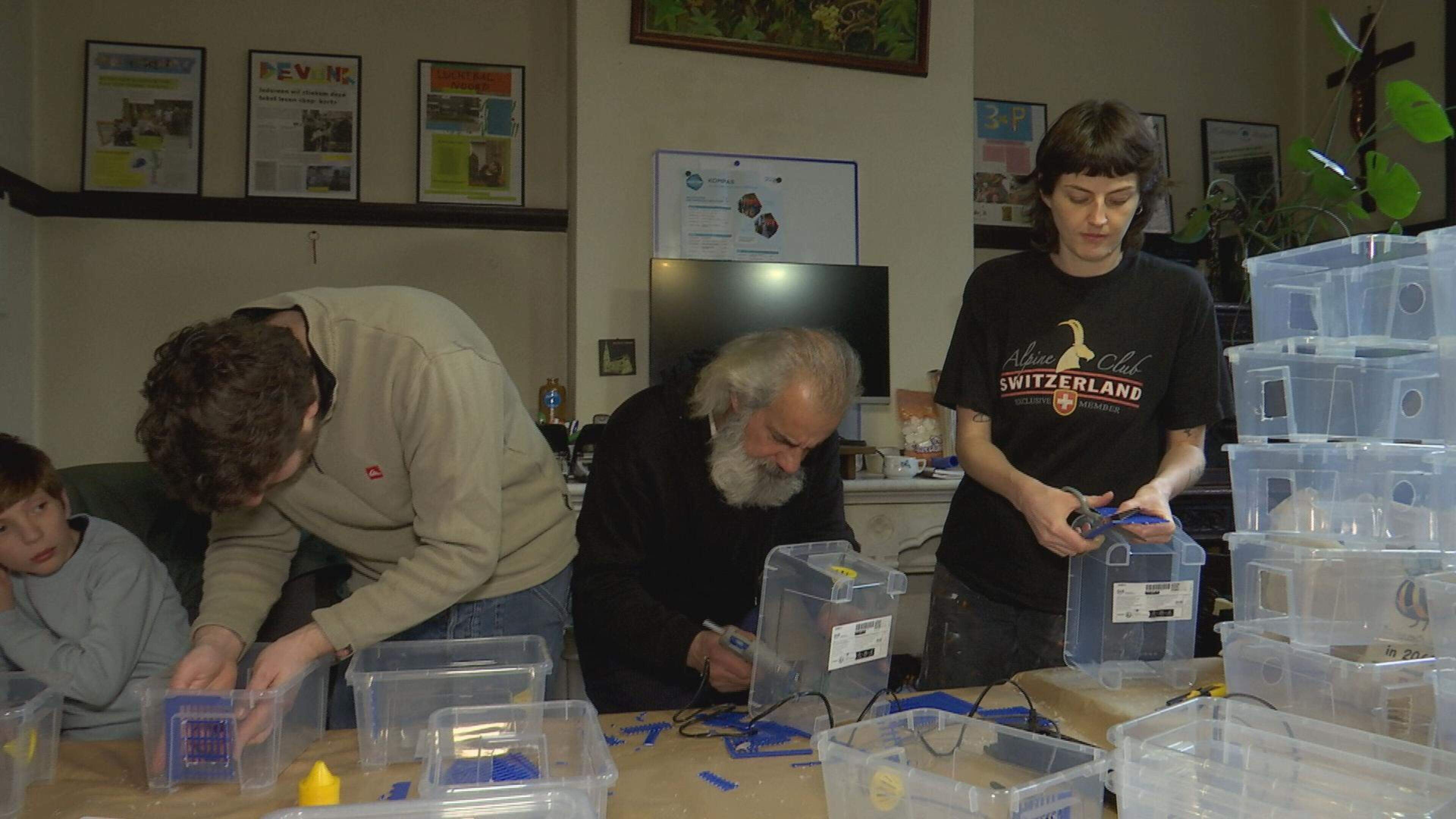 Buurtbewoners Antwerpen-Noord bouwen zelf vallen tegen Aziatische hoornaars