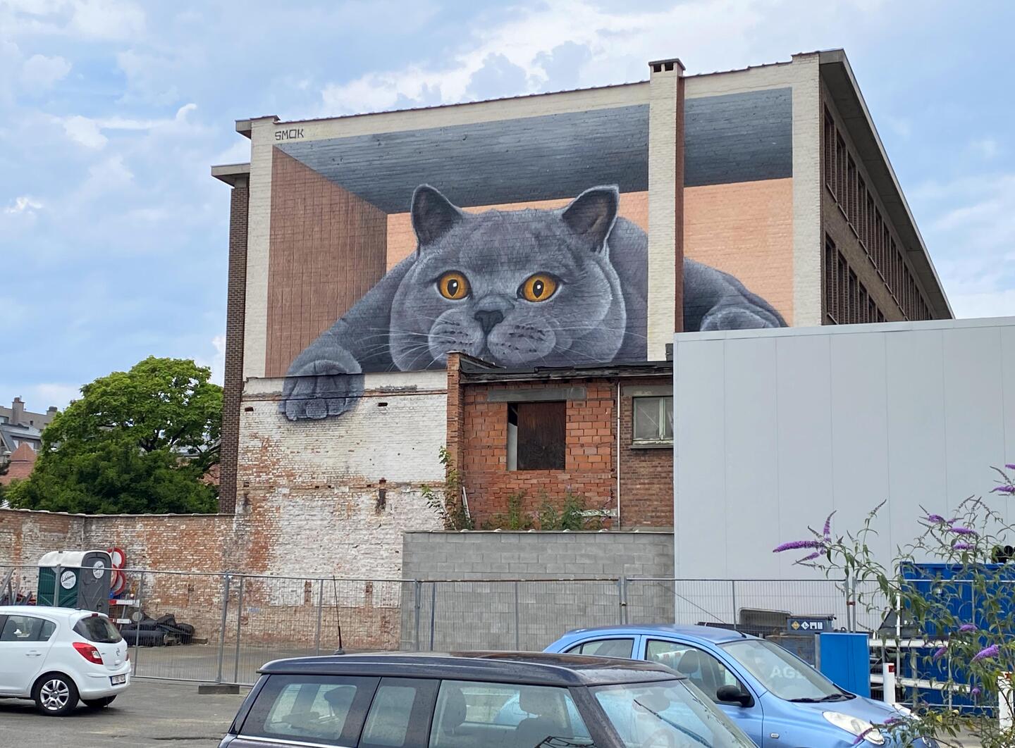 ‘Catify’, aan de supermarkt van Albert Heijn in Berchem.