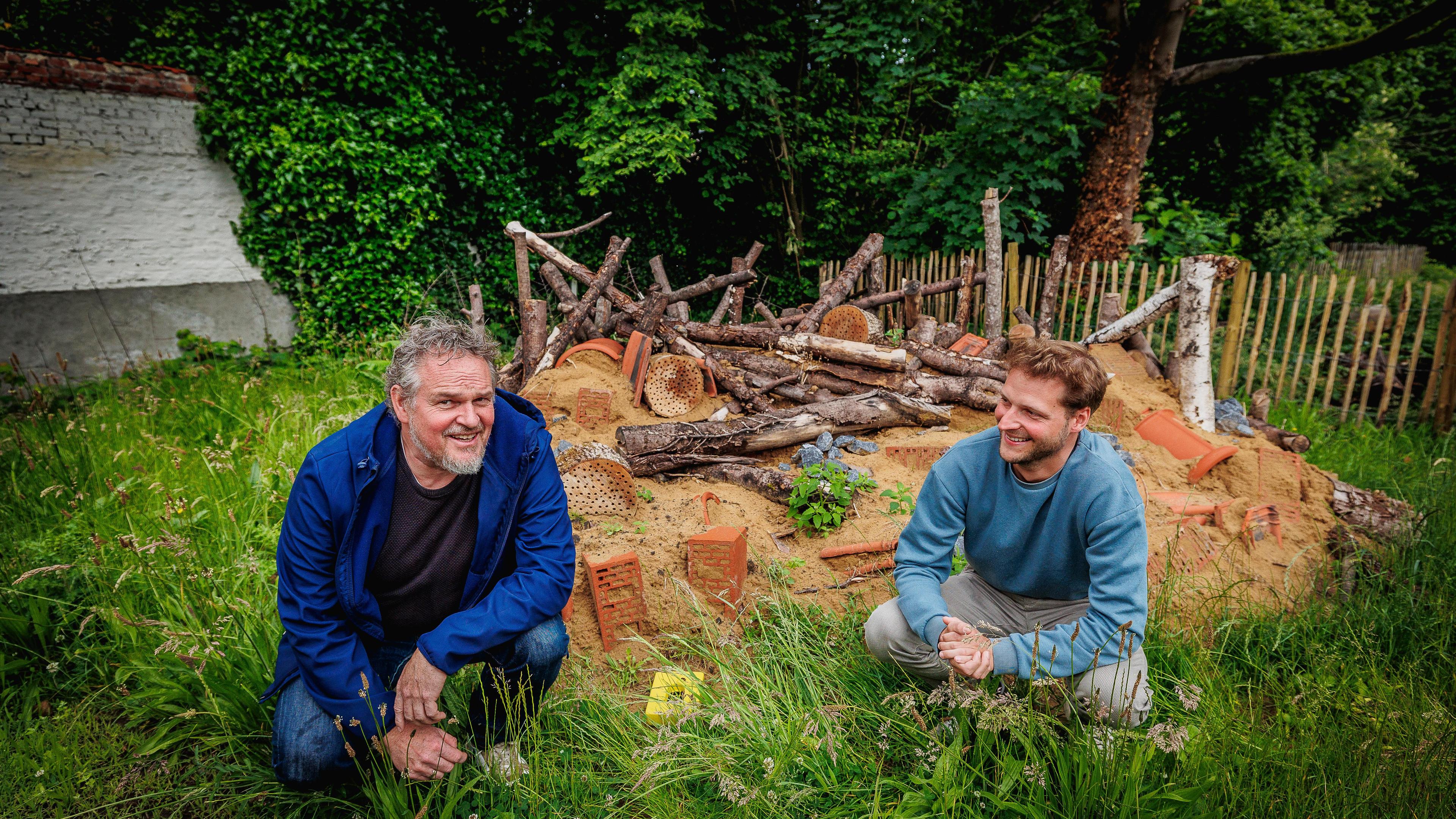 Bijenburcht in Maria Van Deyckpark geeft onderkomen aan bedreigde bijensoort: “Ze zijn heel belangri