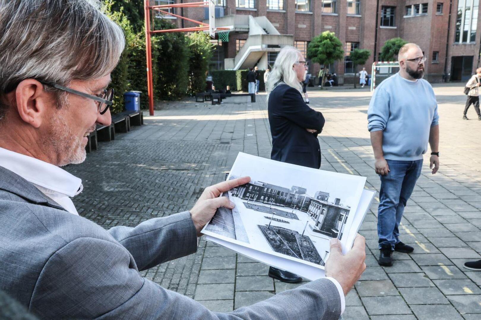 PTS Boom grijpt voor vergroening terug naar oorspronkelijk uitzicht ...