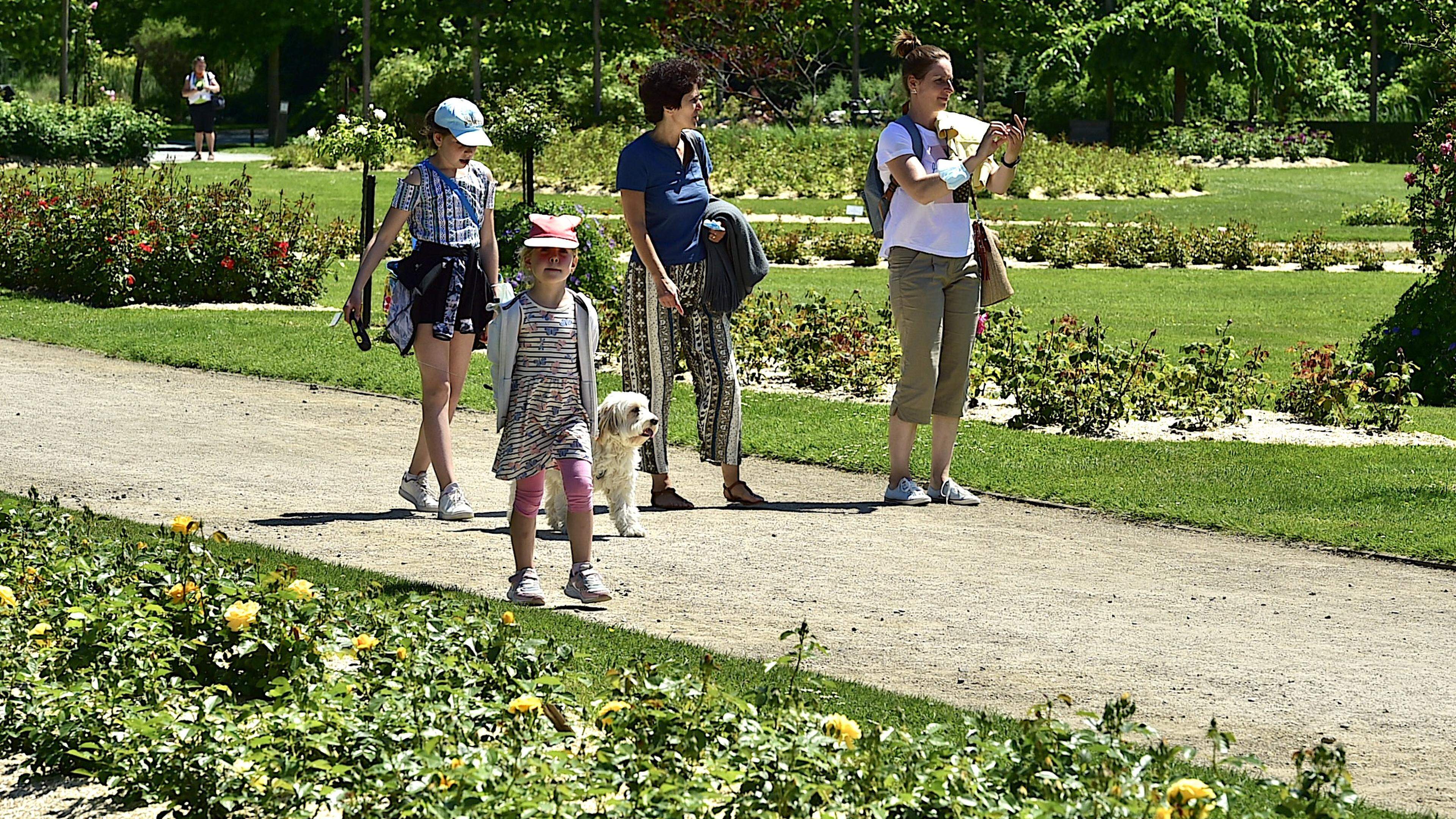 Snuif zomer op met gids in Mechels Vrijbroekpark