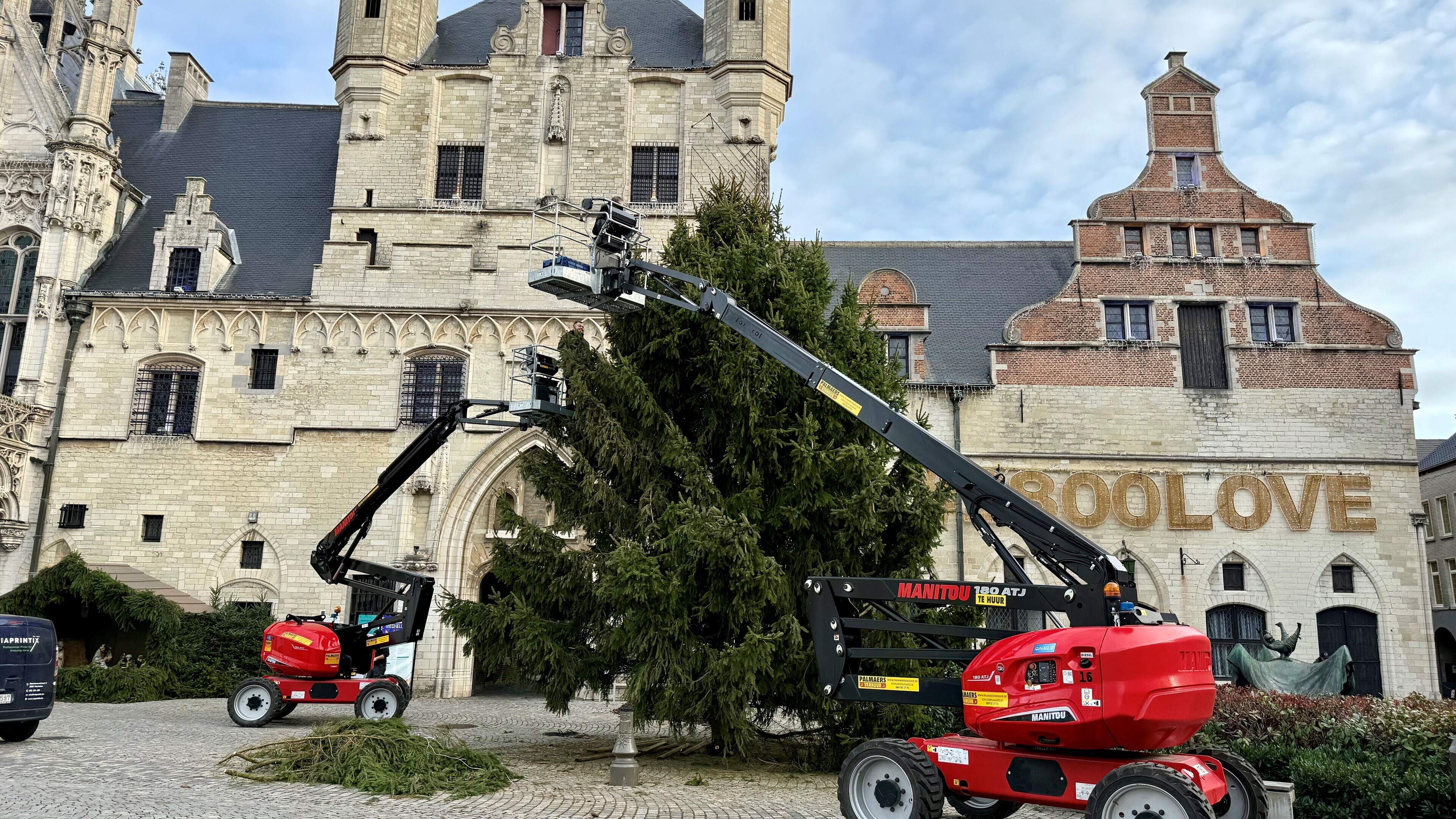 Kerstboom arriveert op Mechelse Grote Markt: “Het is een prachtexemplaar uit de Oostkantons”