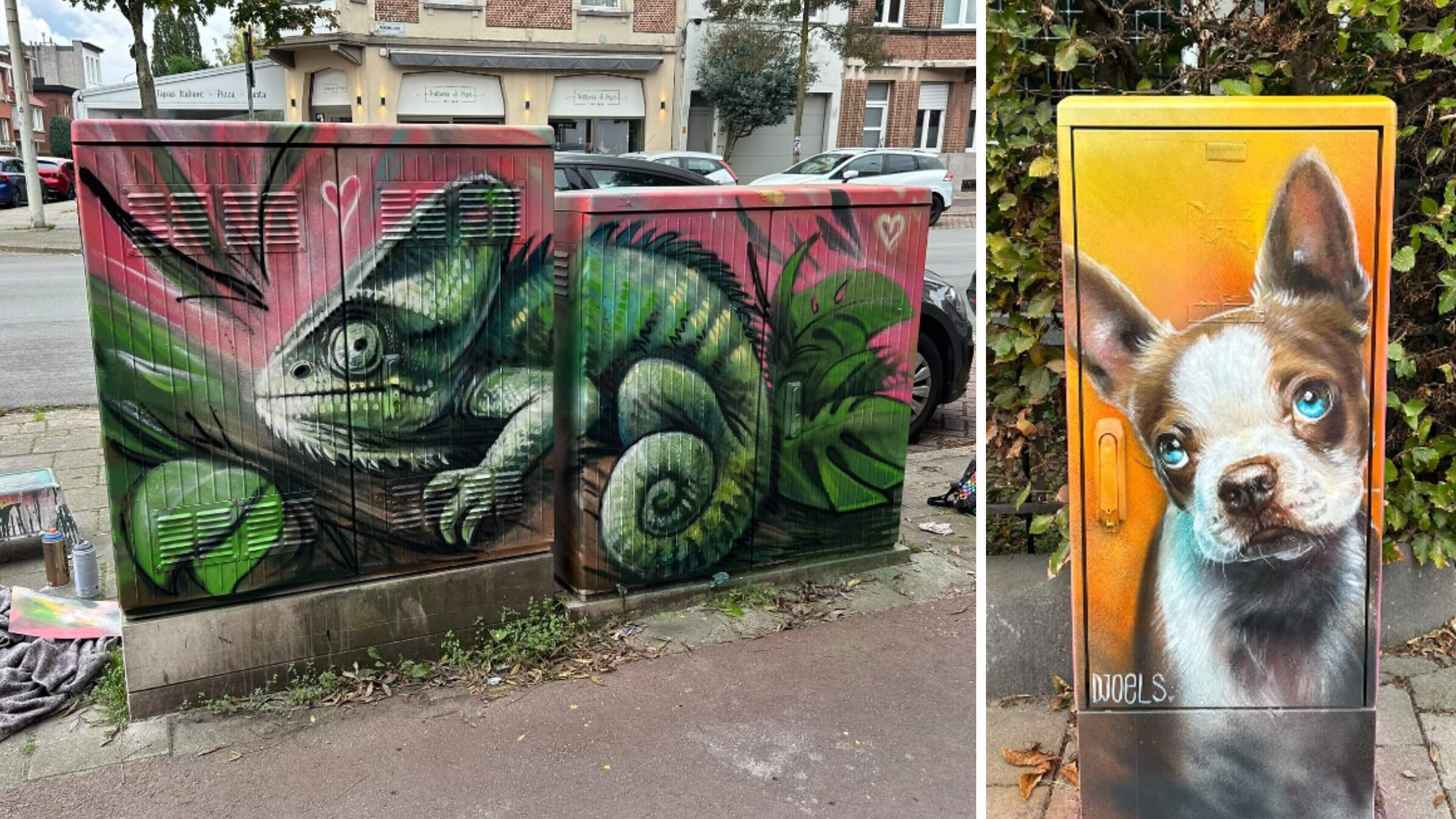 Berchemse nutskasten krijgen kleurrijke make-over met dierenportretten