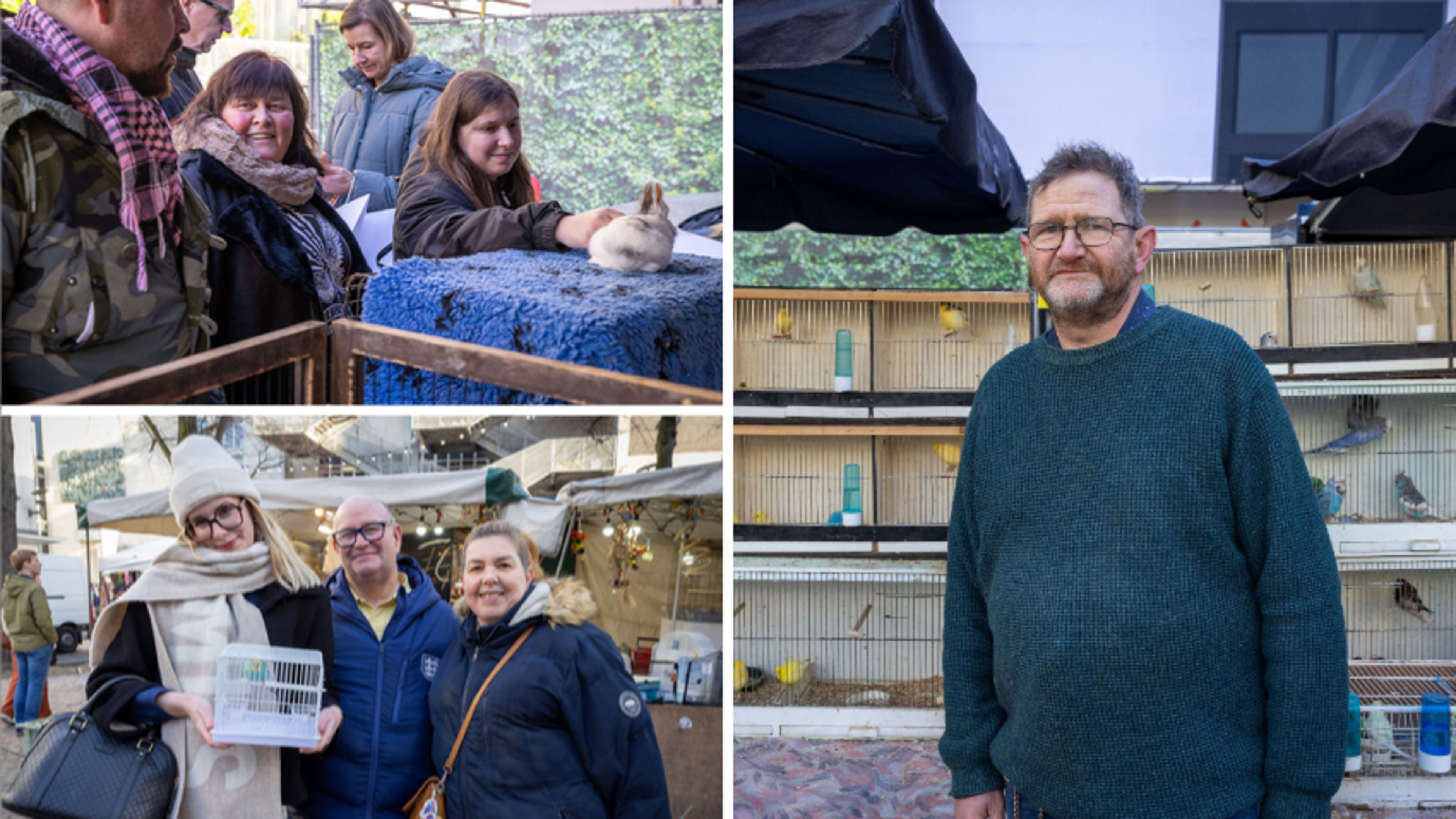 “Stukje folklore dat verdwijnt”: voor een laatste keer verkopen marktkramers dieren op de Antwerpse 