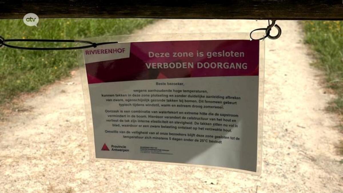 Ook oudste deel van Rivierenhof terug open na controle door boomexperts