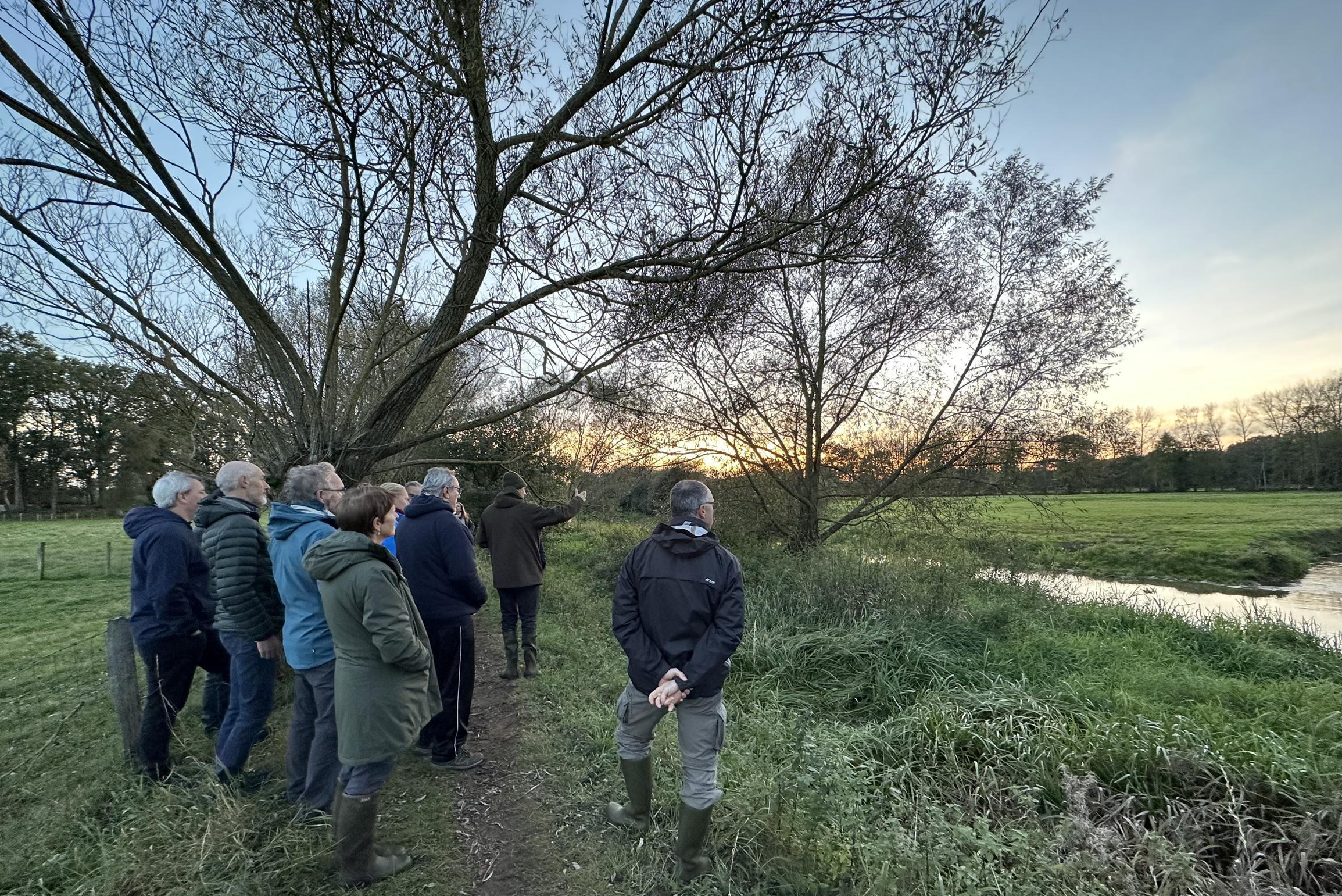 Kleine Nete kronkelt eindelijk weer in oude bedding: “De rivier is nu ...