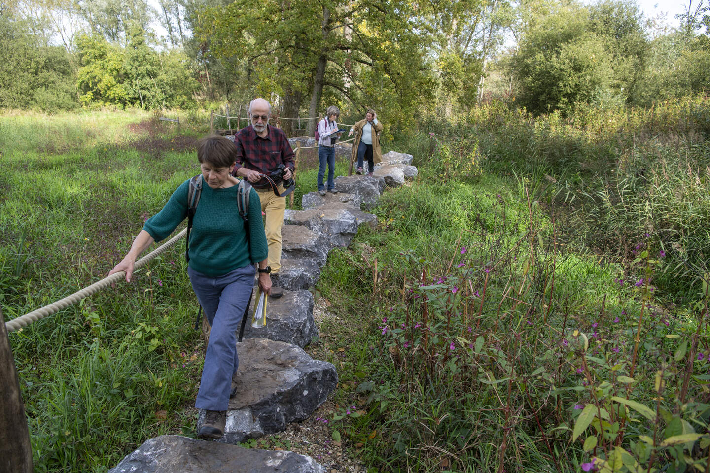 Wandelen op rotsen uit de Ardennen? Dat kan op het stenenpad in ...