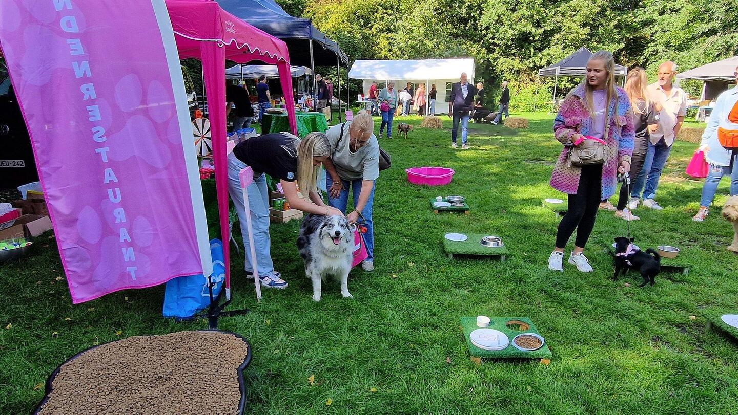 Honden en hun baasjes zullen zich kunnen uitleven.