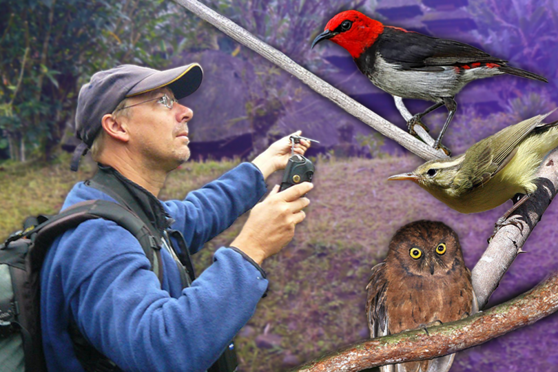 Vlaming Philippe (56) ontdekt al zevende (!) vogel: “Ik ben soms