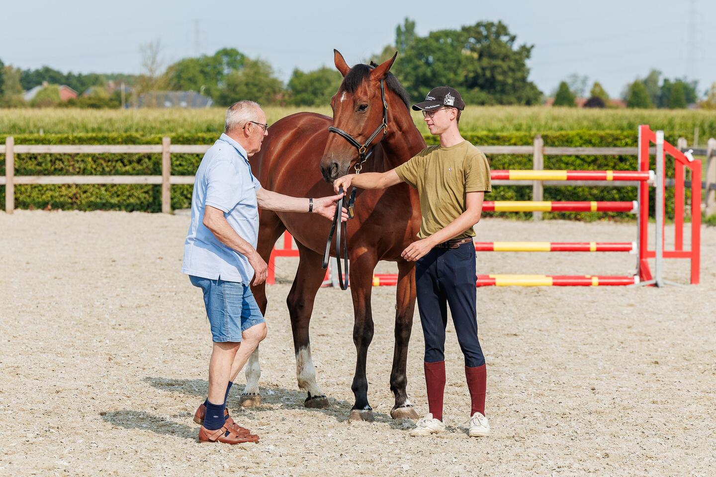 Landelijke Rijvereniging Leest verwacht tot wel duizend paarden tijdens  pony- en paardentoernooi: “Jongeren leren verantwoordelijkheid te dragen  door met de dieren bezig te zijn” | GVA