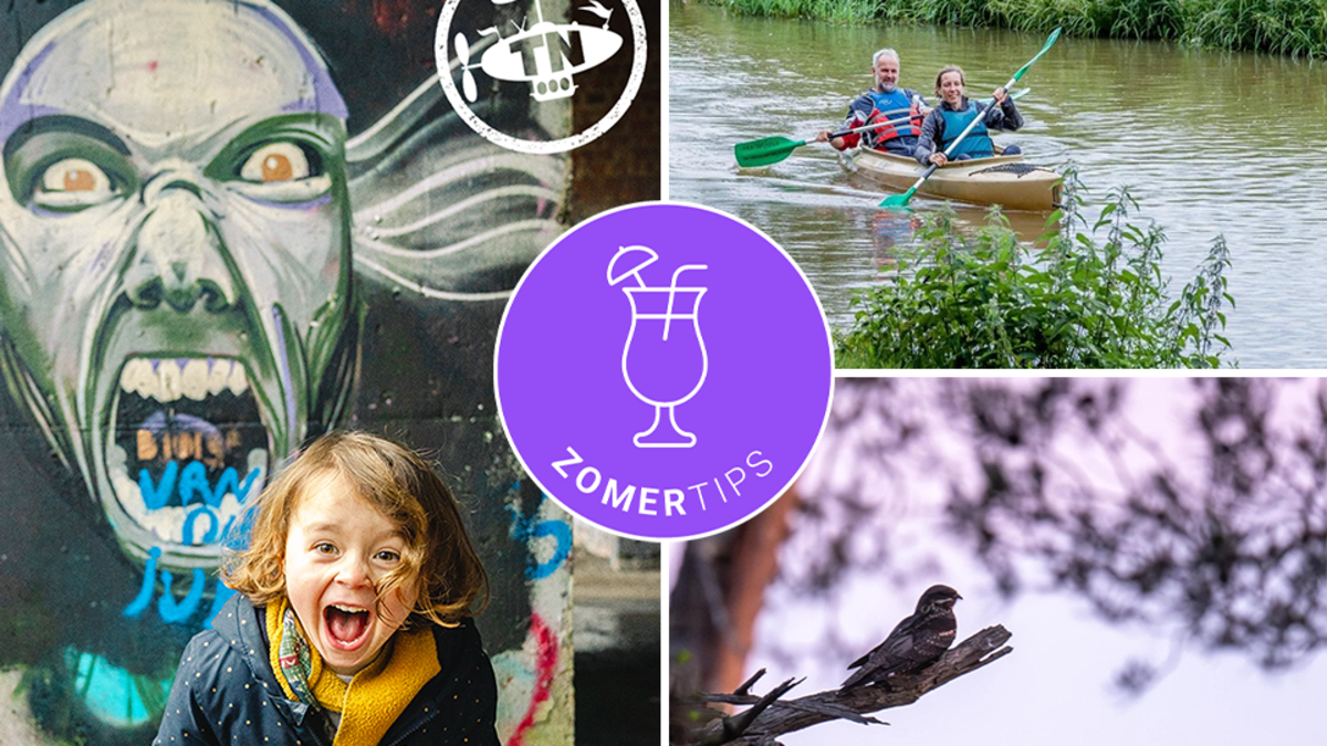 Zomer Tips ZOMERTIPS. 6 keer op avontuur in de natuur | GVA