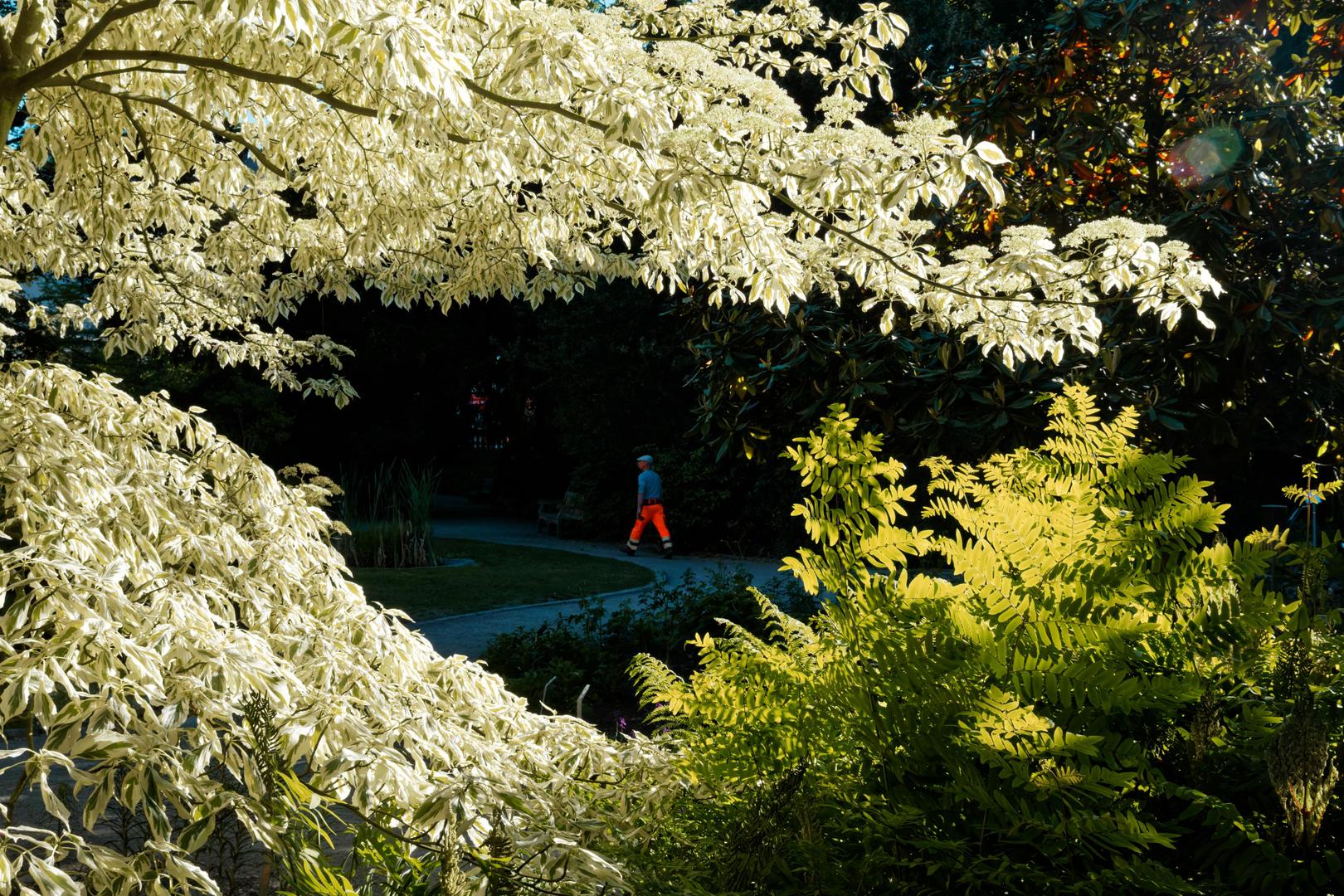 Plantentuin