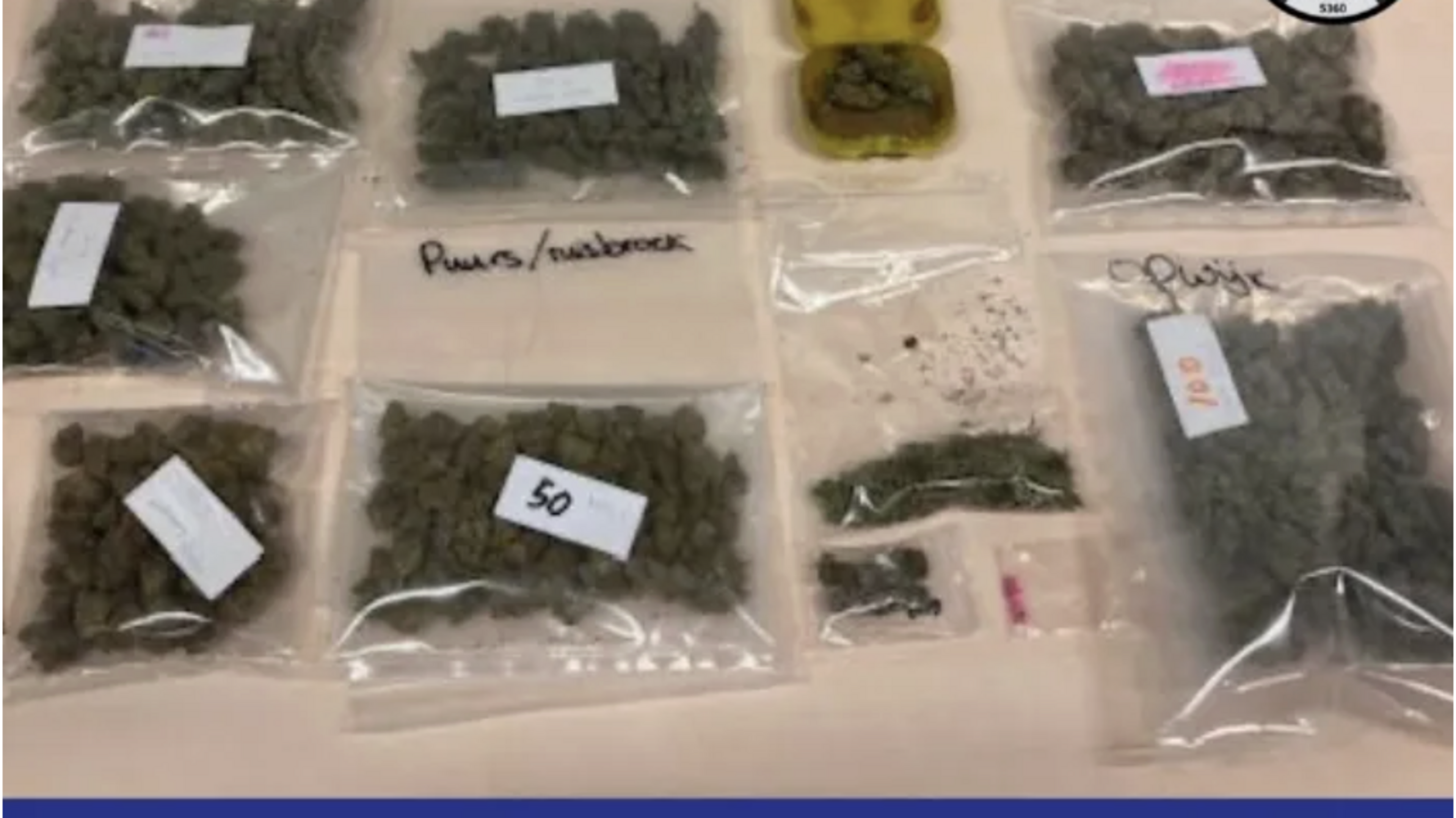 Politie Lier arresteert drie verdachten en ontdekt twee cannabisteelten tijdens huiszoekingen: drugs