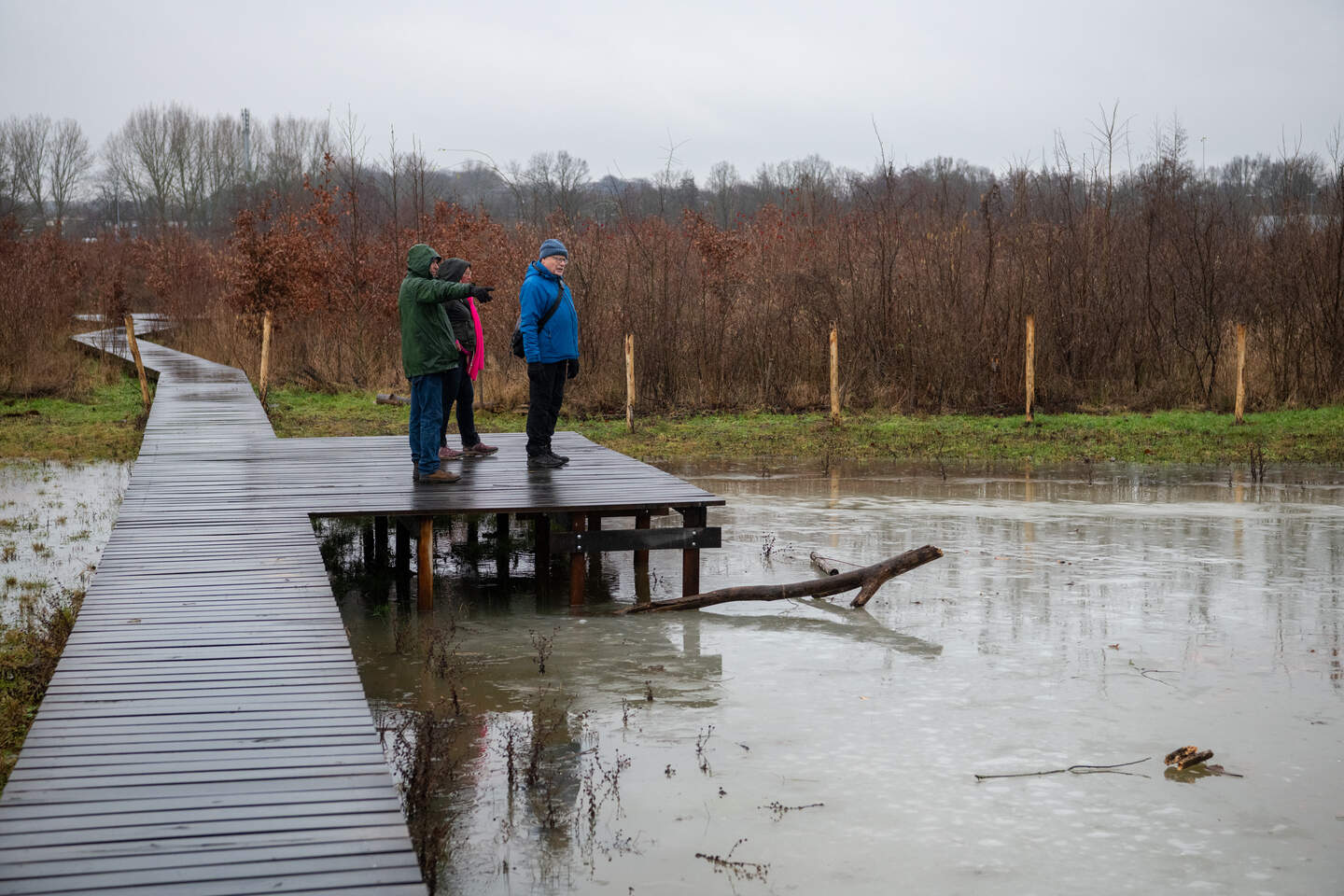 Vroeger was dit een maïsakker, vandaag is het een biodivers gebied met een poel en bomen. 