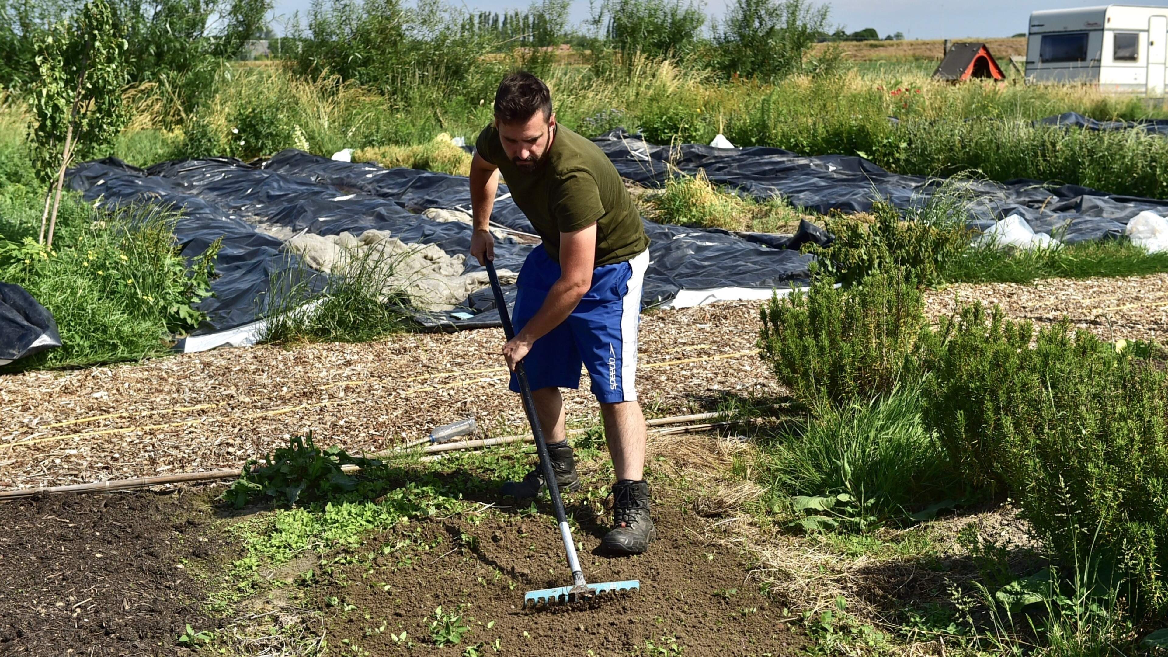 Mechelen zoekt pachters voor vijf percelen: “Lokale landbouwers alle kansen geven”