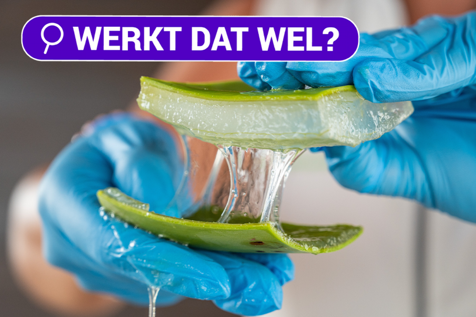 WERKT DAT WEL. Helpt alo vera tegen wonden en huidaandoeningen? | GVA