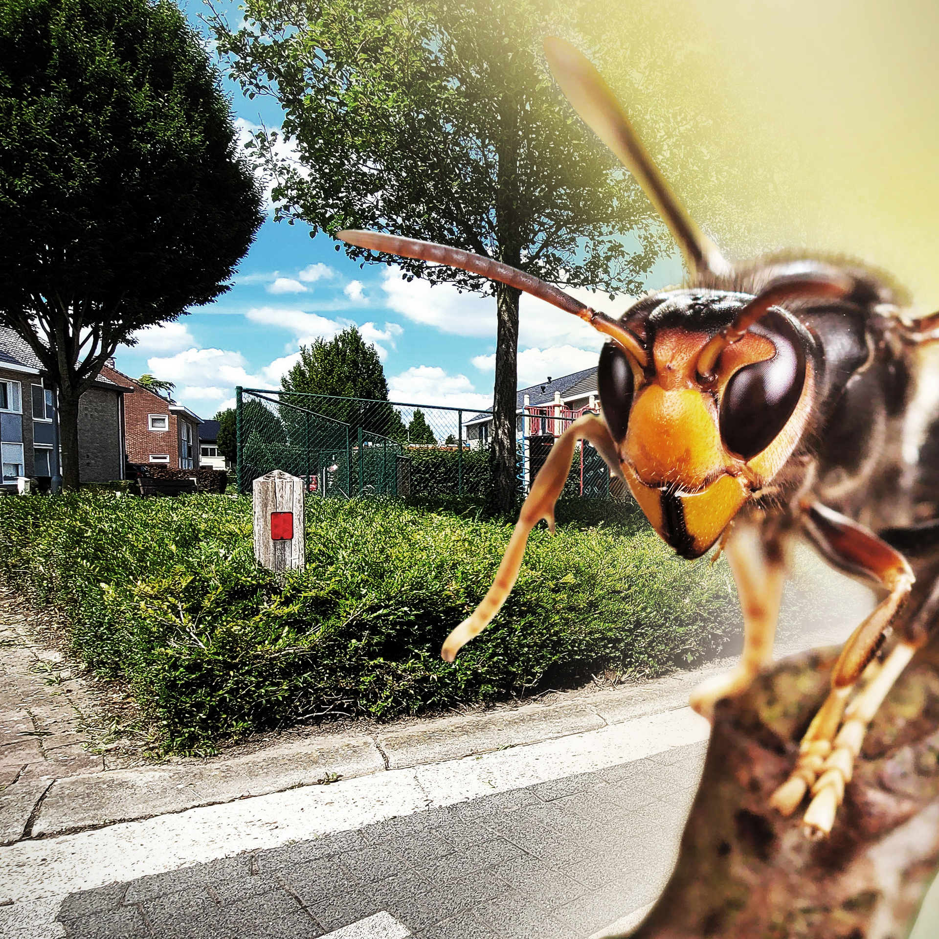 Sinem özgür naked overall I would claim that she meets