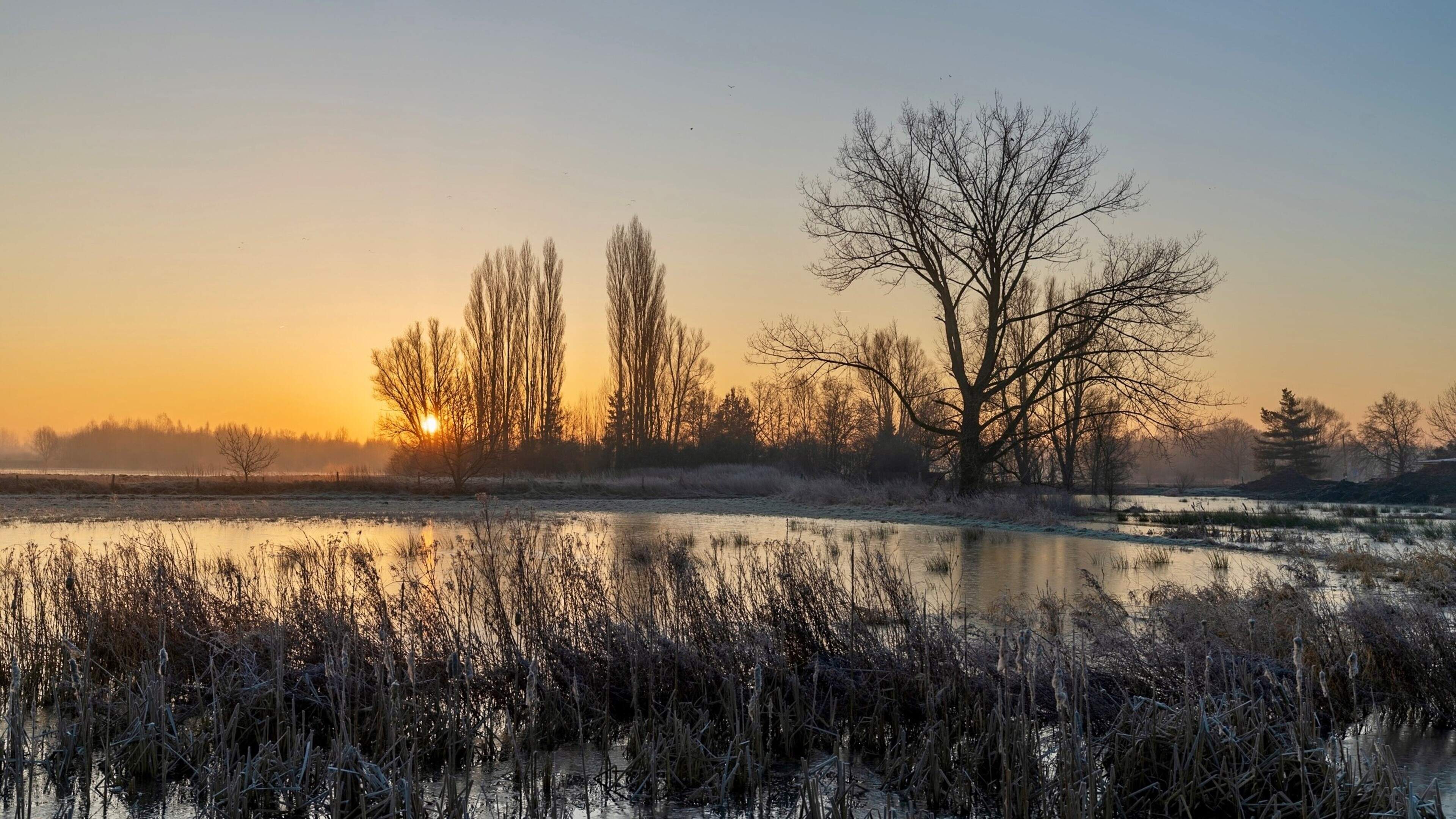 Natuurgebied in Dijlevallei breidt uit met ruim 14 hectare: “We zetten in op natte natuur en bosuitb