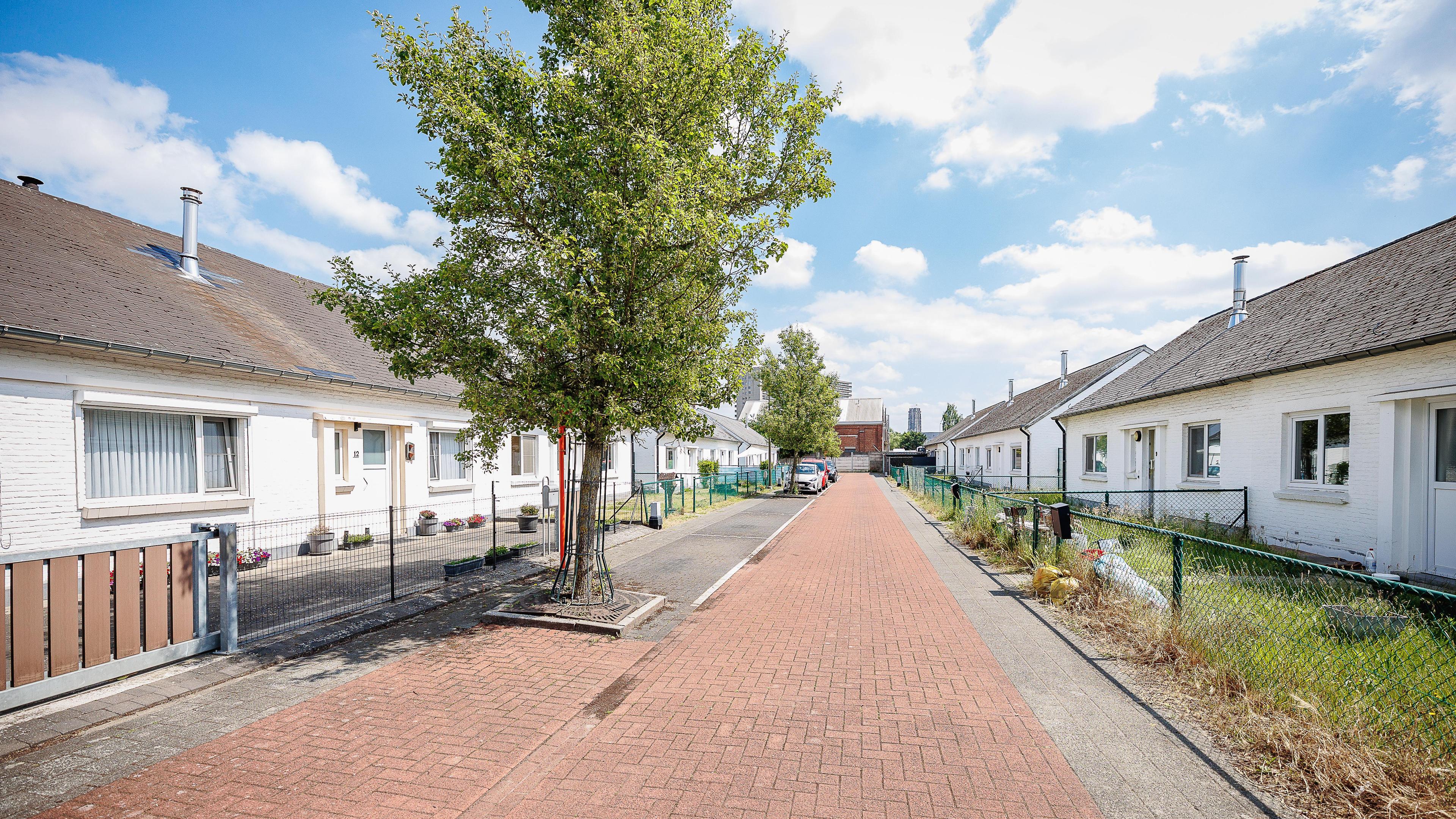 In wijk Schorsvelden dringt zich renovatie op, maar dat zorgt voor ongerustheid: “Mensen wonen er al