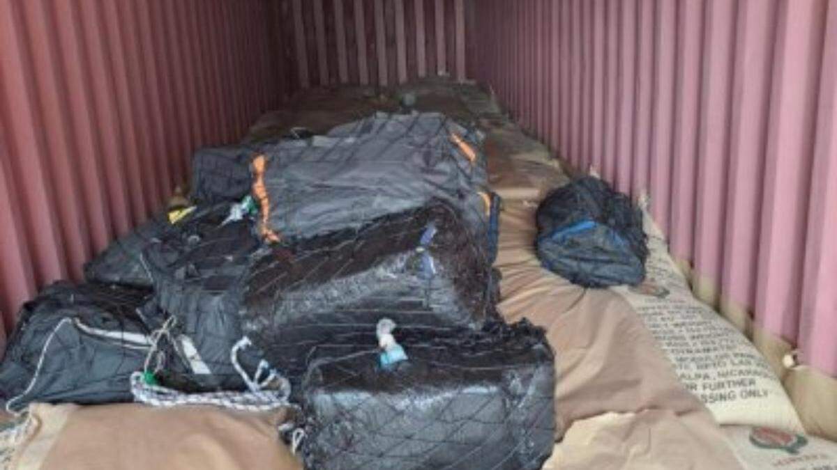 Enorme cocaïnevangst in Antwerpen: 504 kg drugs onderschept in haven